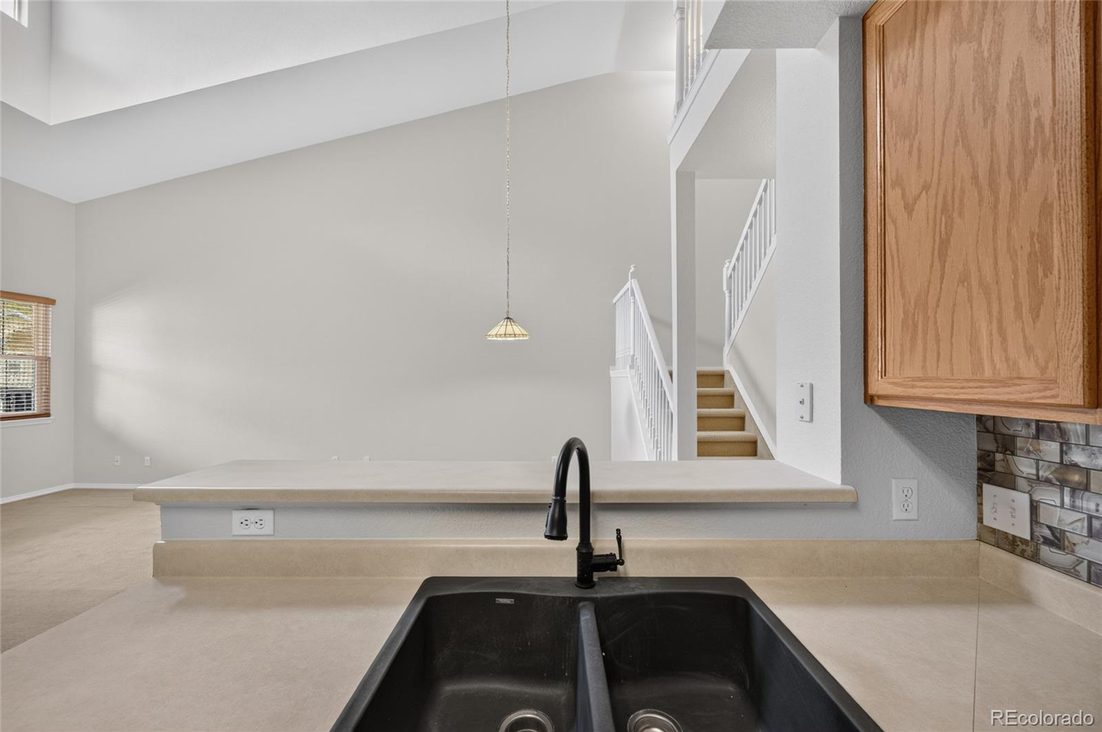 MLS Image #6 for 1223  villa grove,monument, Colorado