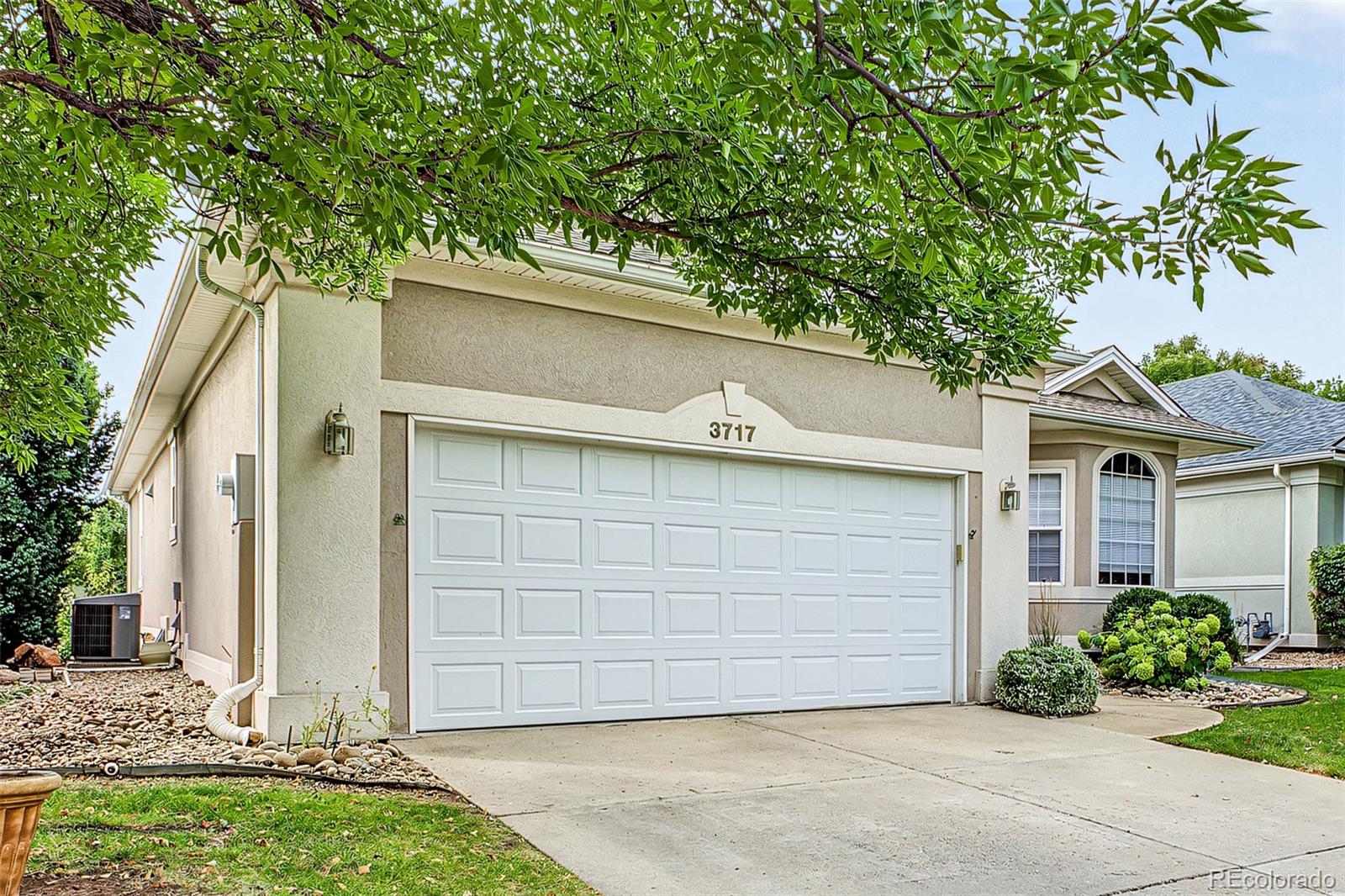 MLS Image #1 for 3717  doral drive,longmont, Colorado