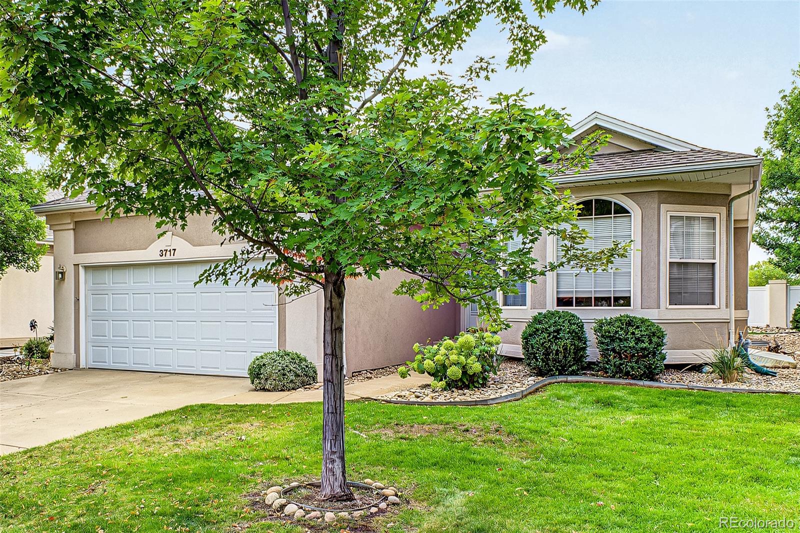 MLS Image #2 for 3717  doral drive,longmont, Colorado