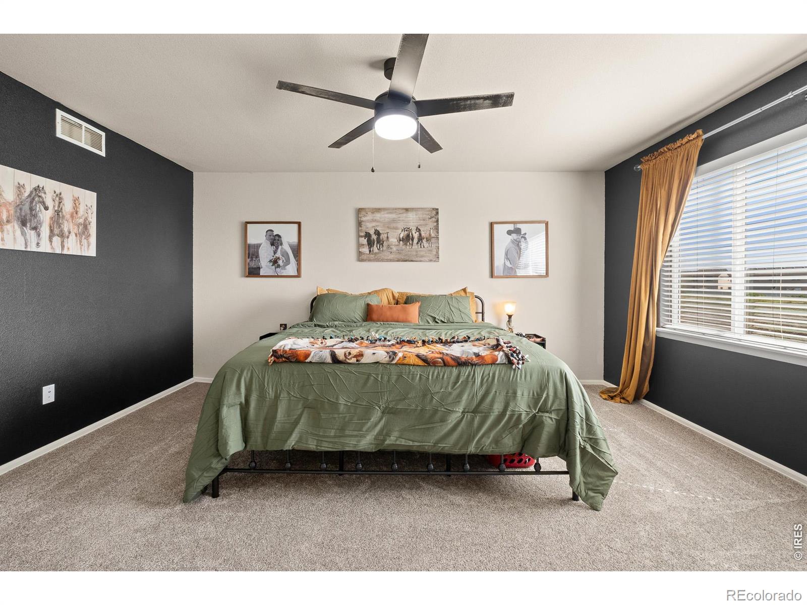 MLS Image #26 for 1218  muskox street,severance, Colorado