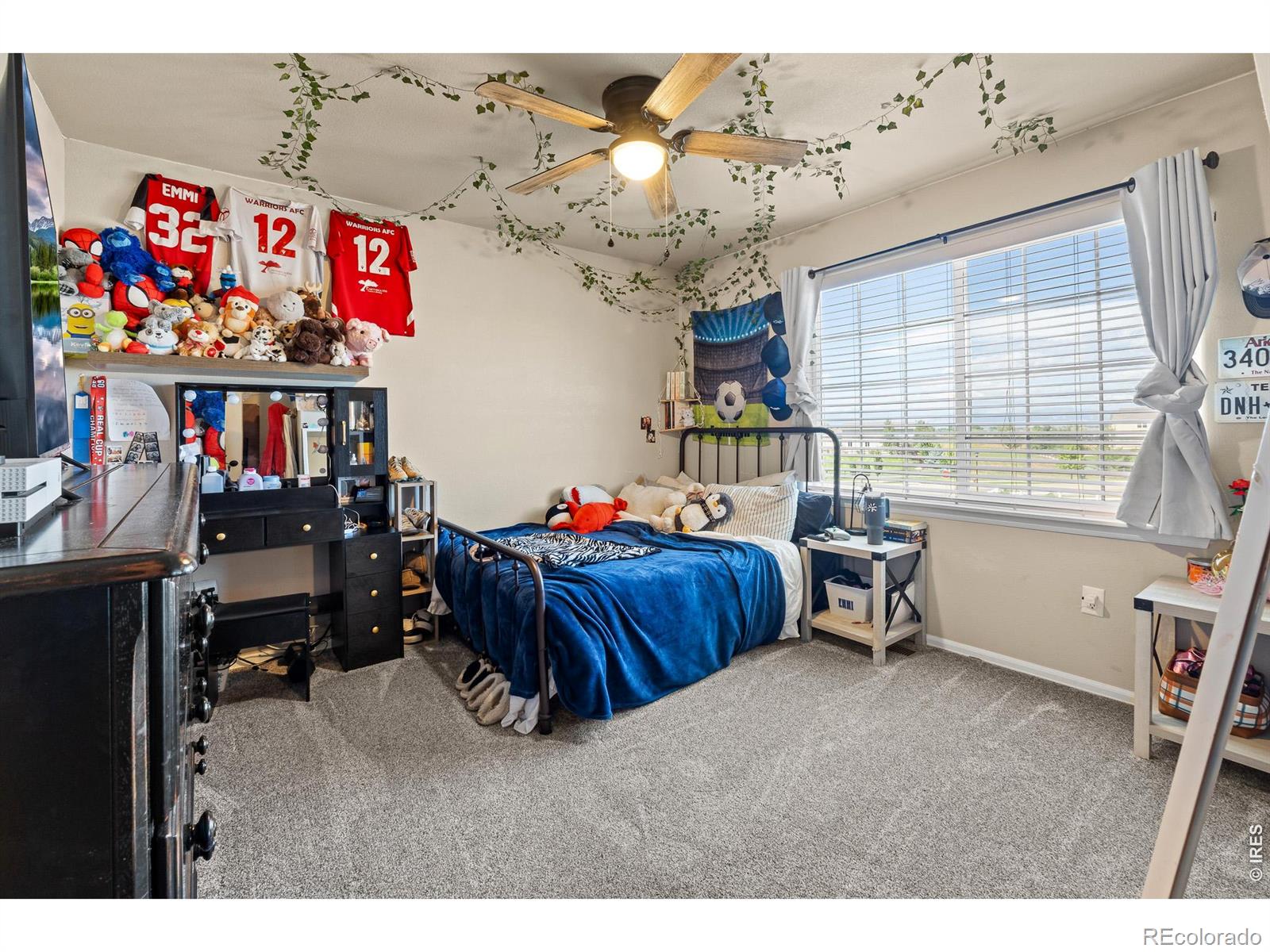 MLS Image #32 for 1218  muskox street,severance, Colorado