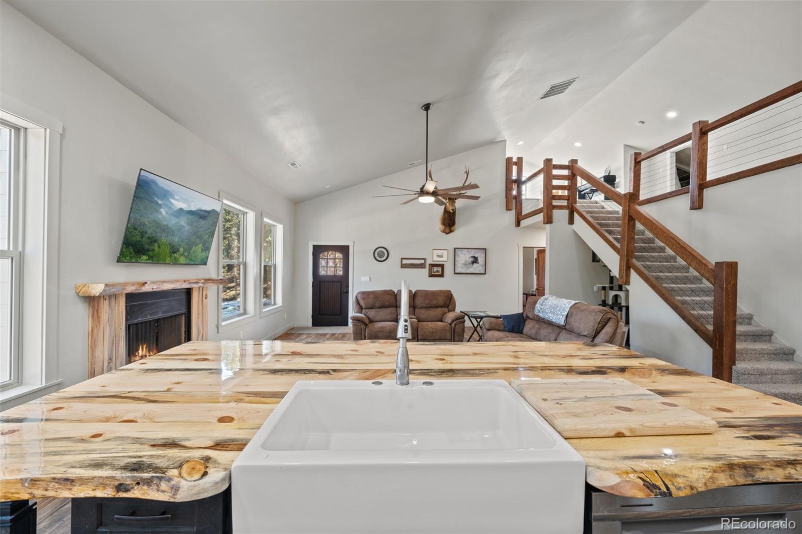 MLS Image #14 for 2270  pikes peak drive,florissant, Colorado