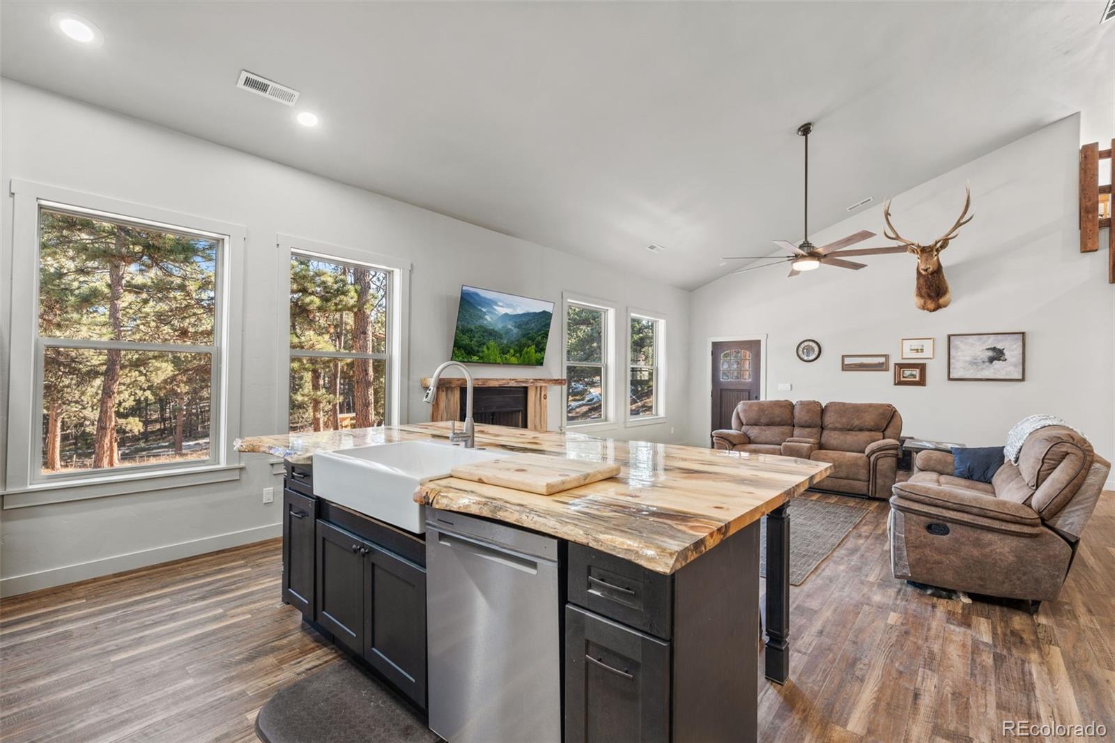 MLS Image #15 for 2270  pikes peak drive,florissant, Colorado