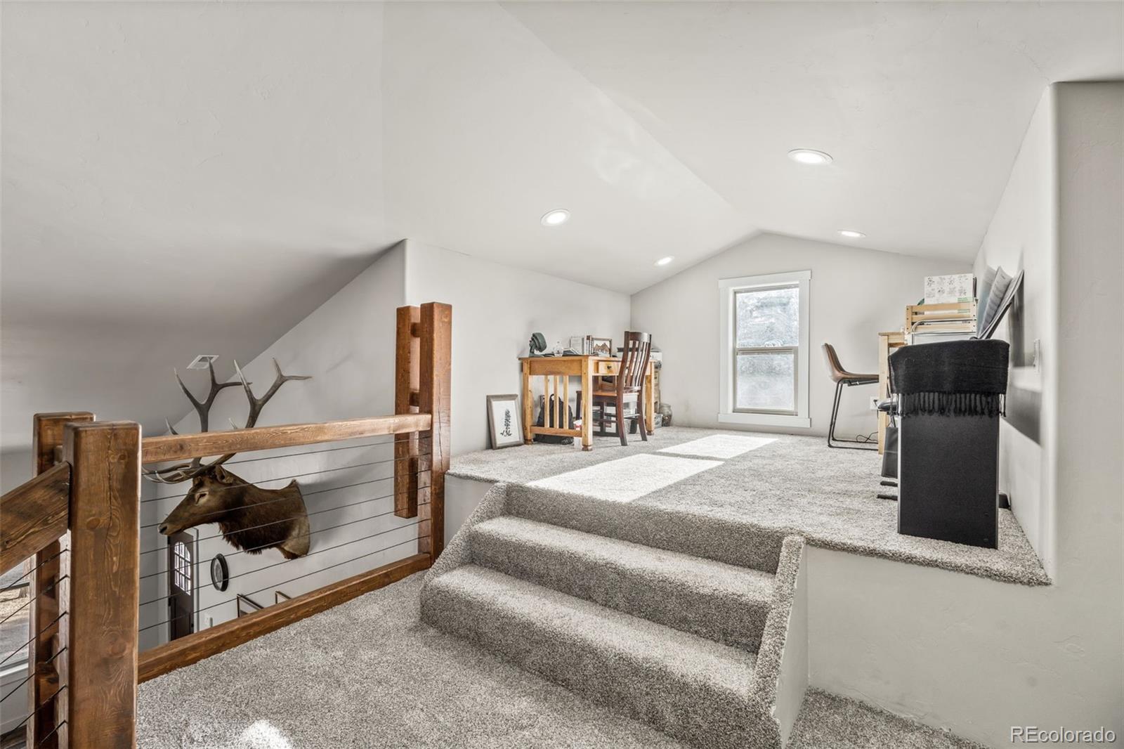MLS Image #30 for 2270  pikes peak drive,florissant, Colorado