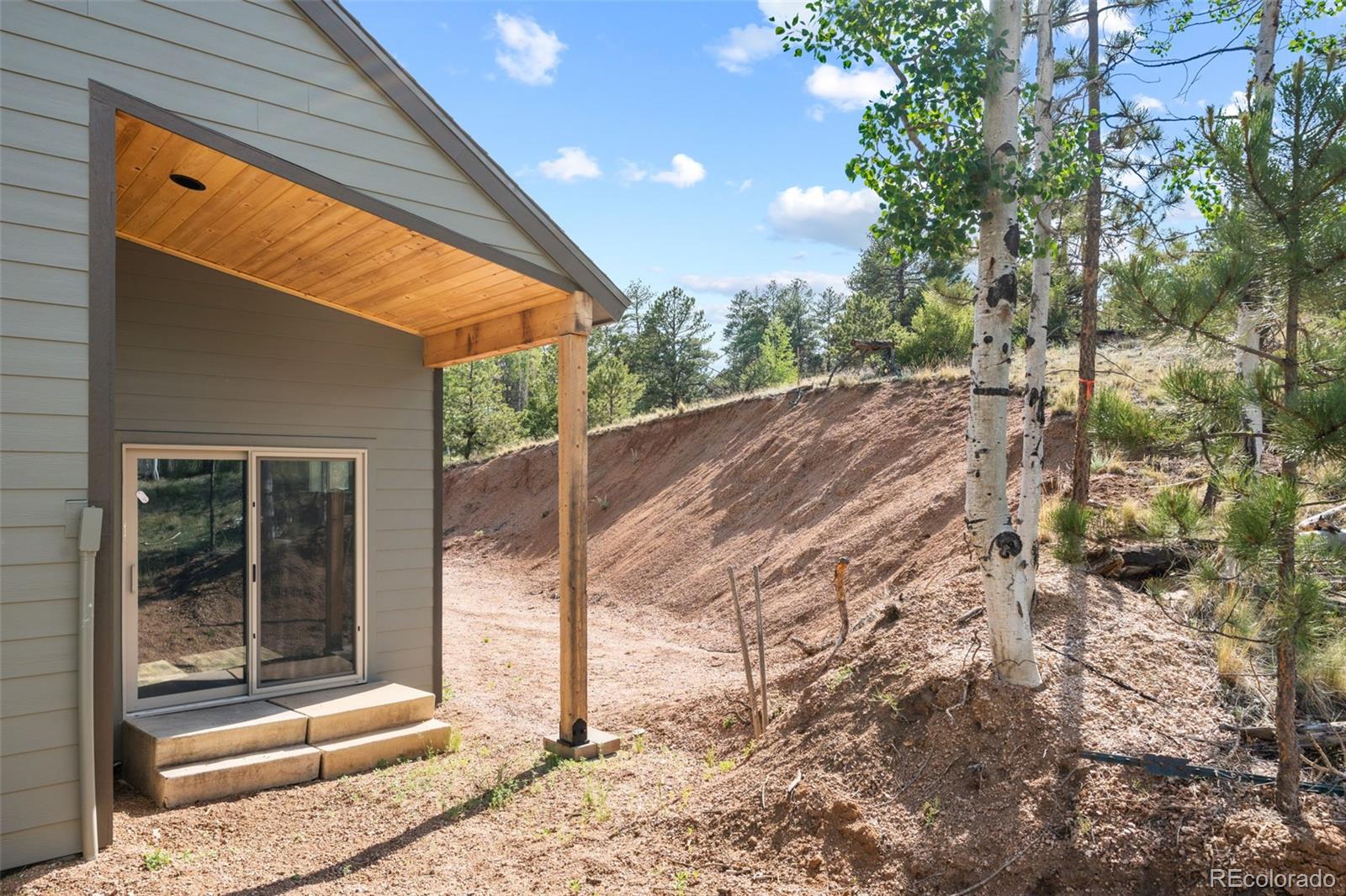 MLS Image #34 for 2270  pikes peak drive,florissant, Colorado