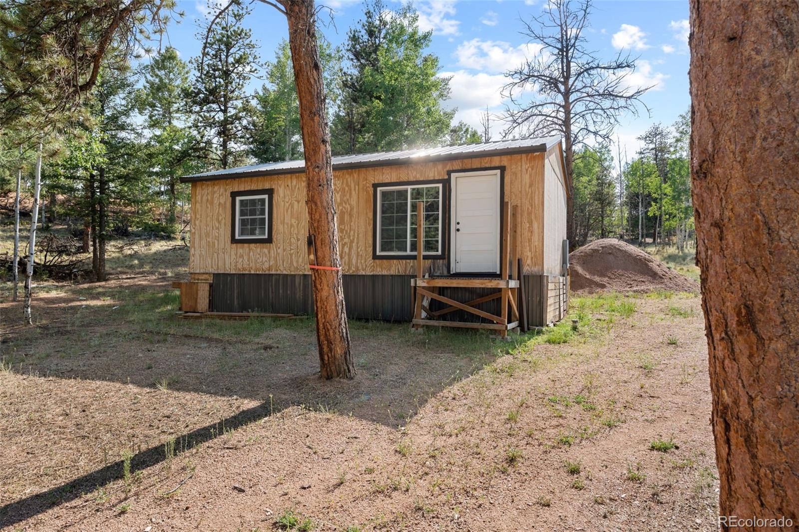 MLS Image #38 for 2270  pikes peak drive,florissant, Colorado