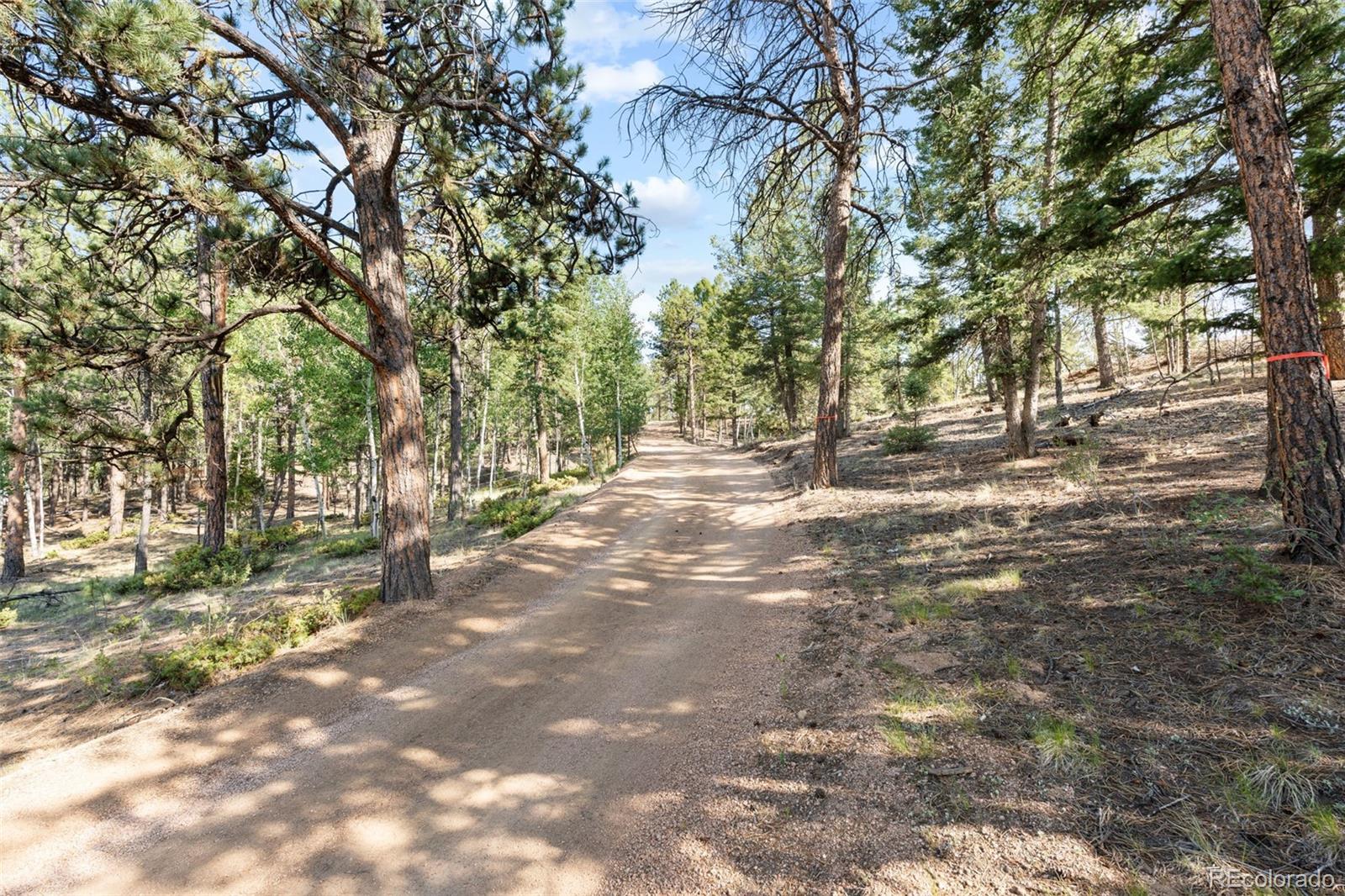 MLS Image #41 for 2270  pikes peak drive,florissant, Colorado