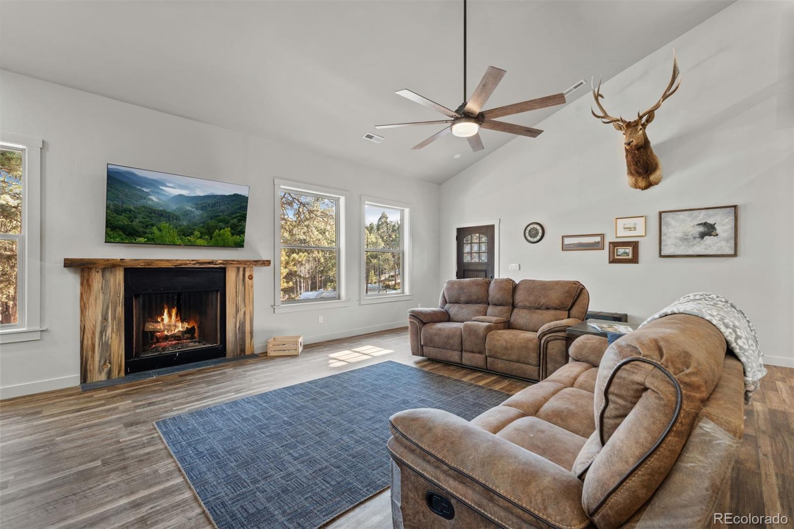 MLS Image #8 for 2270  pikes peak drive,florissant, Colorado
