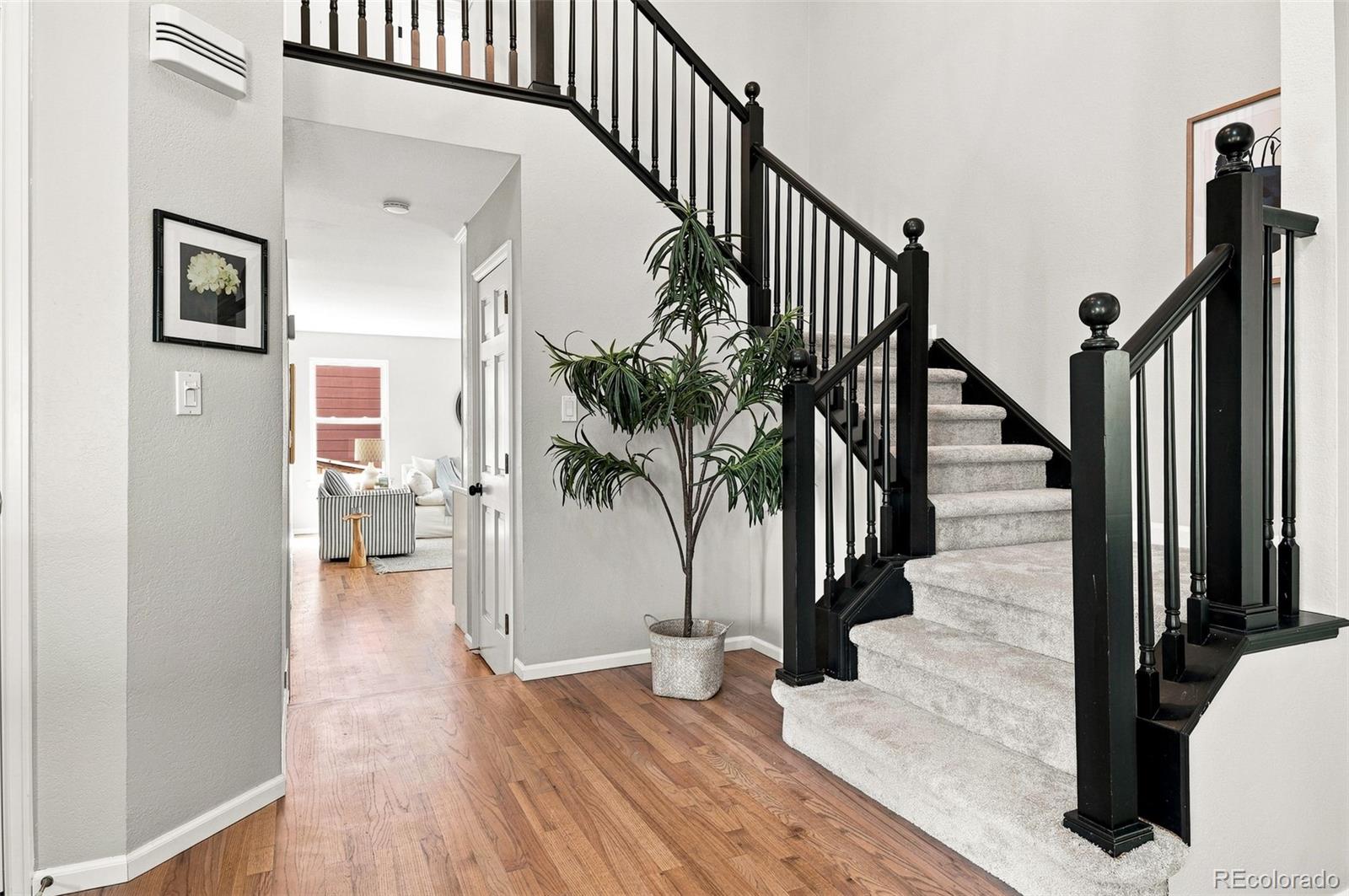 MLS Image #25 for 9815  spring hill street,highlands ranch, Colorado
