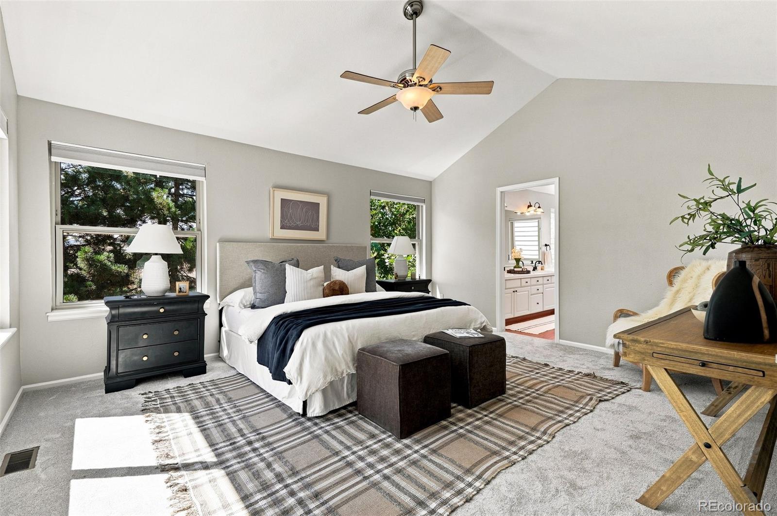 MLS Image #27 for 9815  spring hill street,highlands ranch, Colorado