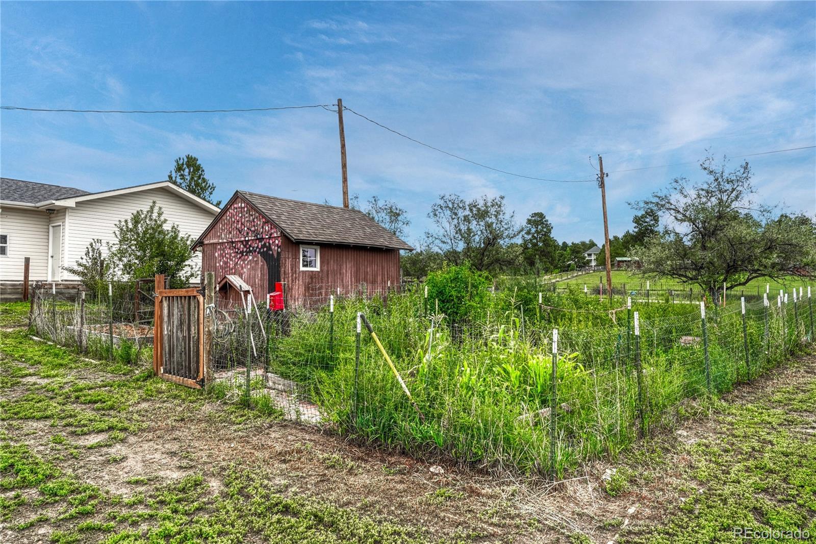 MLS Image #46 for 13715 n winchester way,parker, Colorado