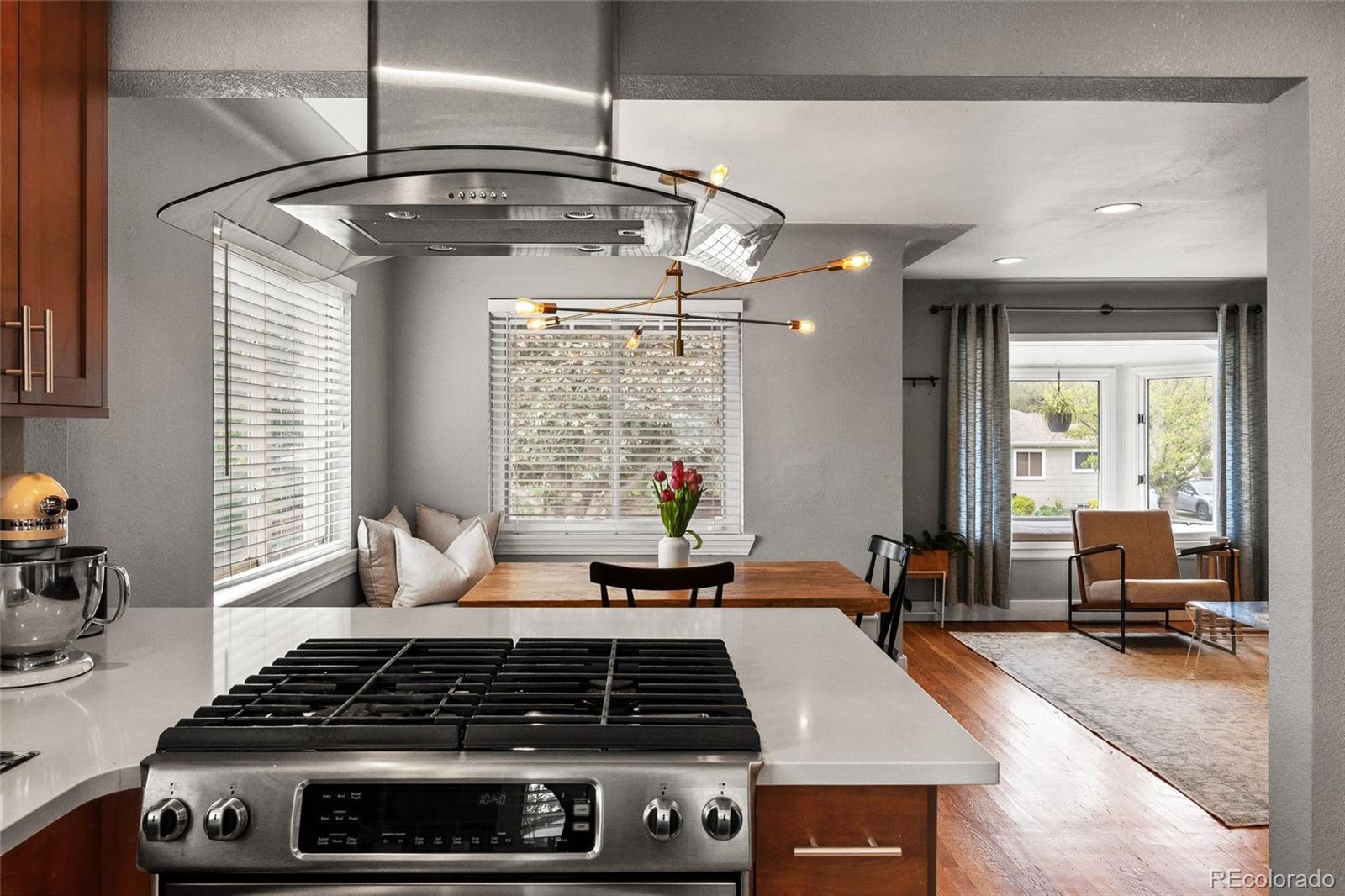 MLS Image #19 for 1630 s saint paul street,denver, Colorado