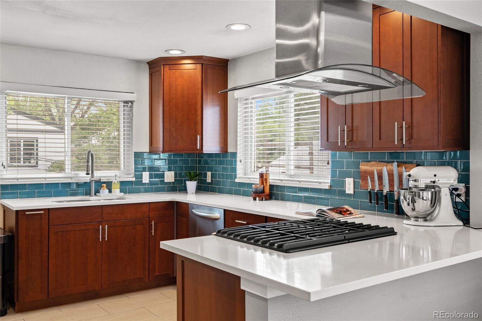 MLS Image #3 for 1630 s saint paul street,denver, Colorado