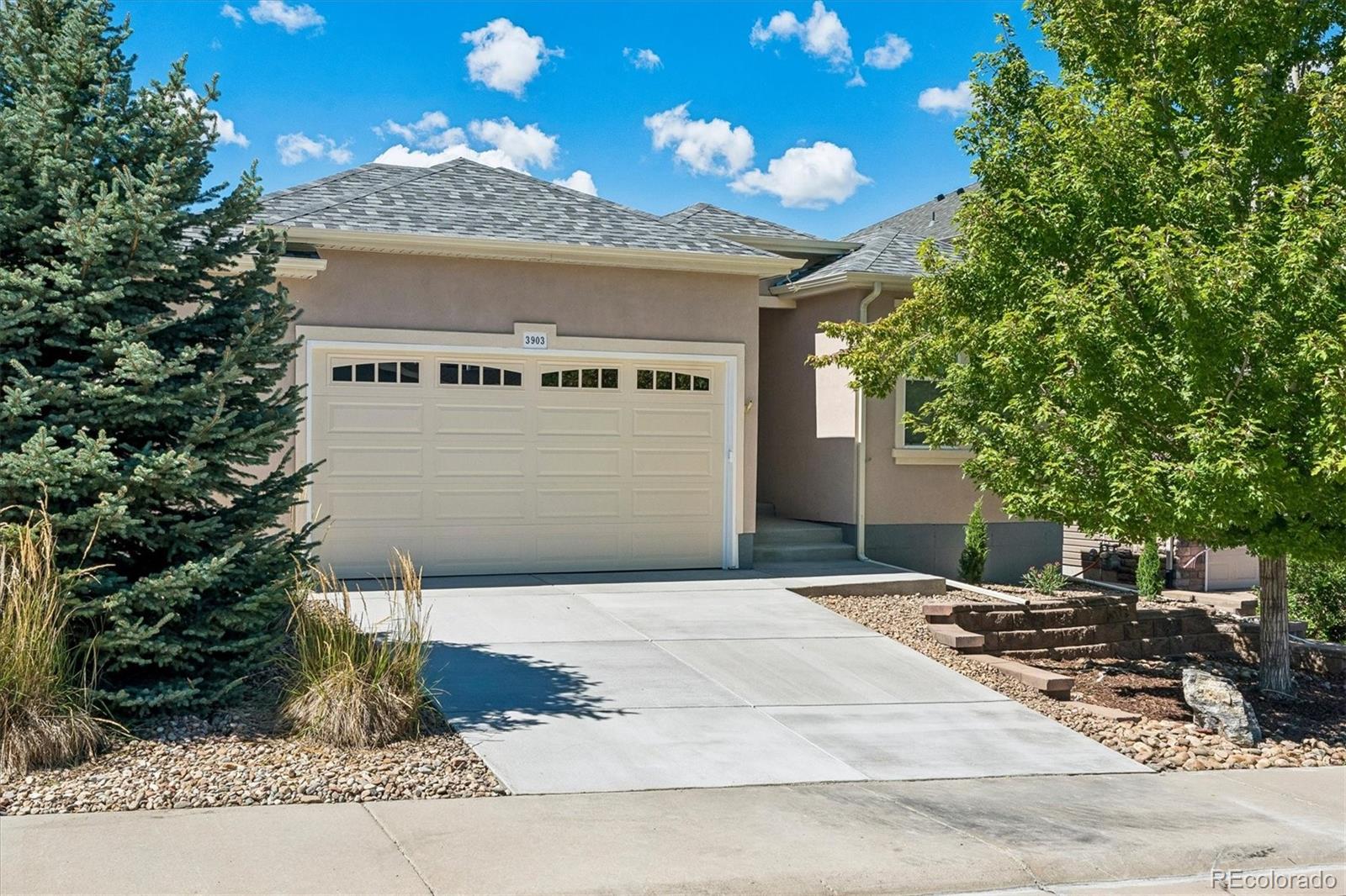 MLS Image #0 for 3903  starry night loop,castle rock, Colorado