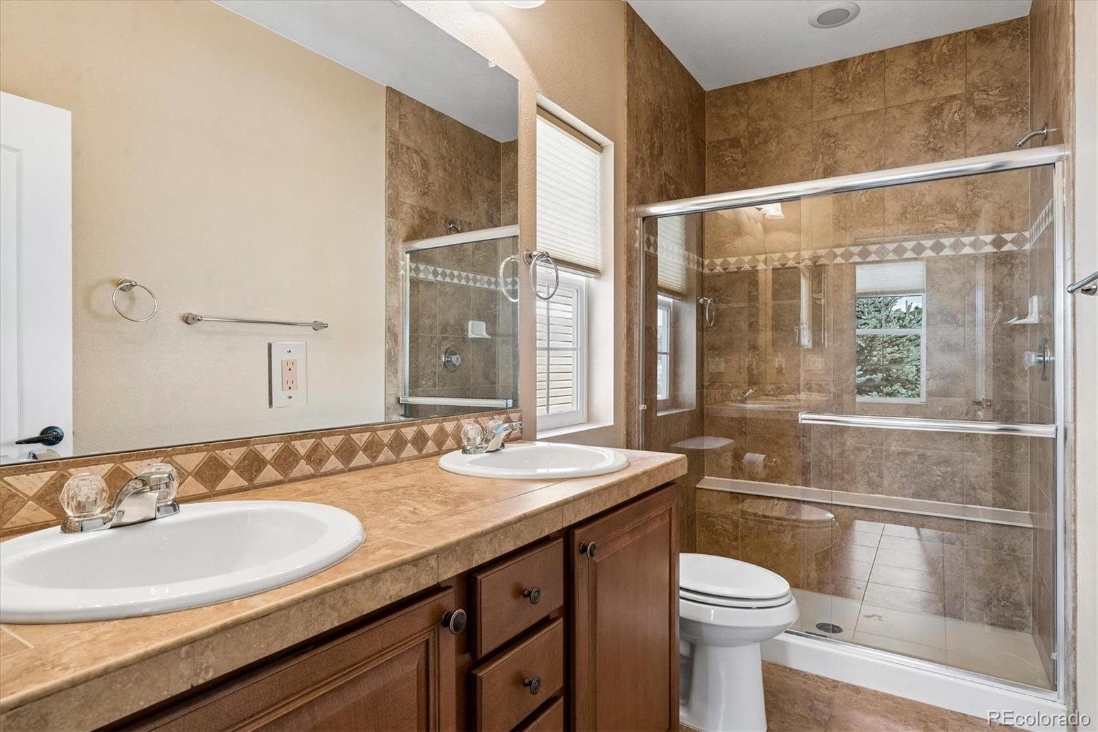 MLS Image #10 for 3903  starry night loop,castle rock, Colorado