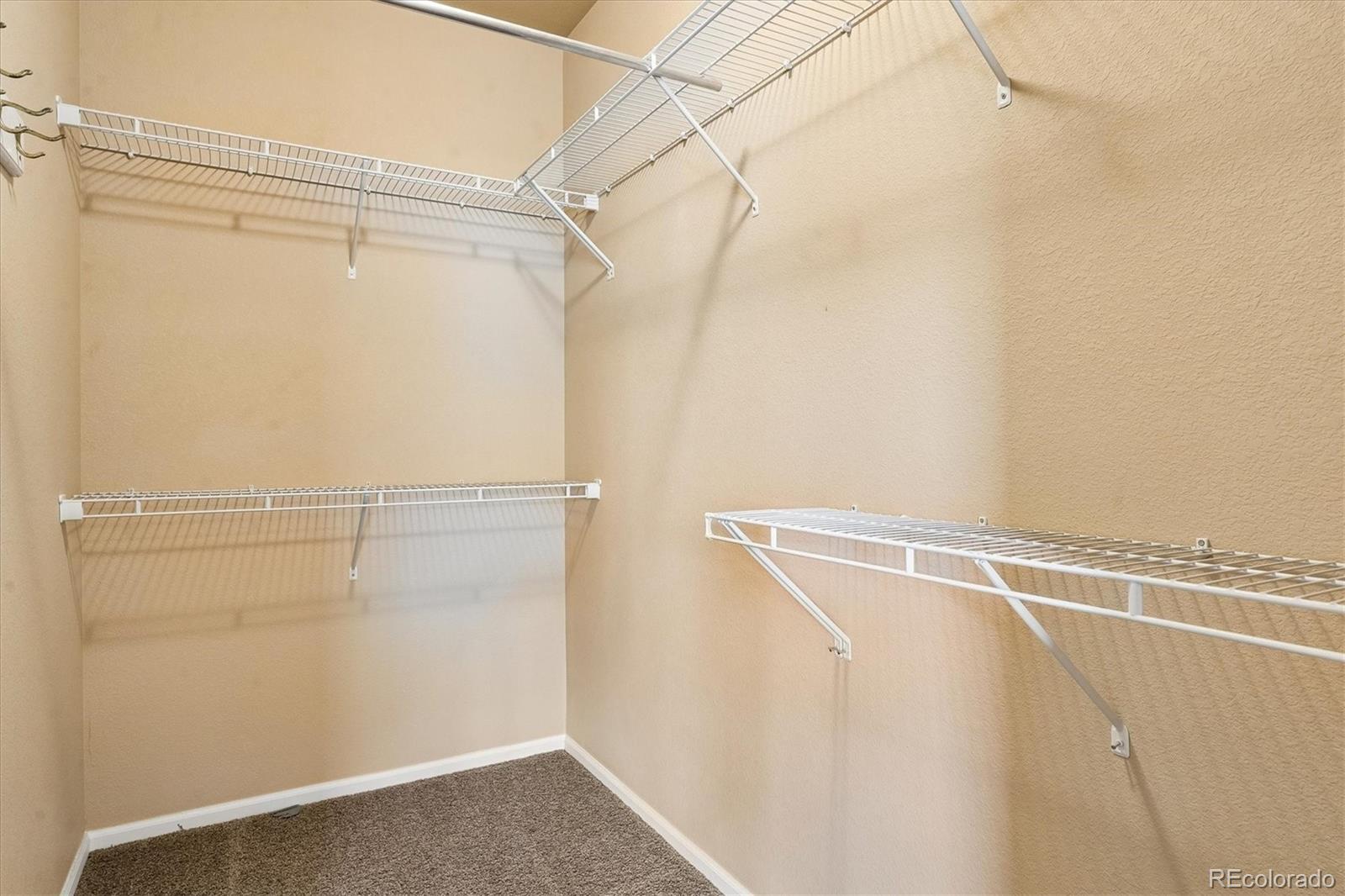 MLS Image #11 for 3903  starry night loop,castle rock, Colorado