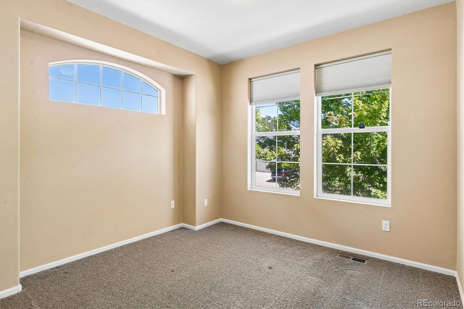 MLS Image #12 for 3903  starry night loop,castle rock, Colorado