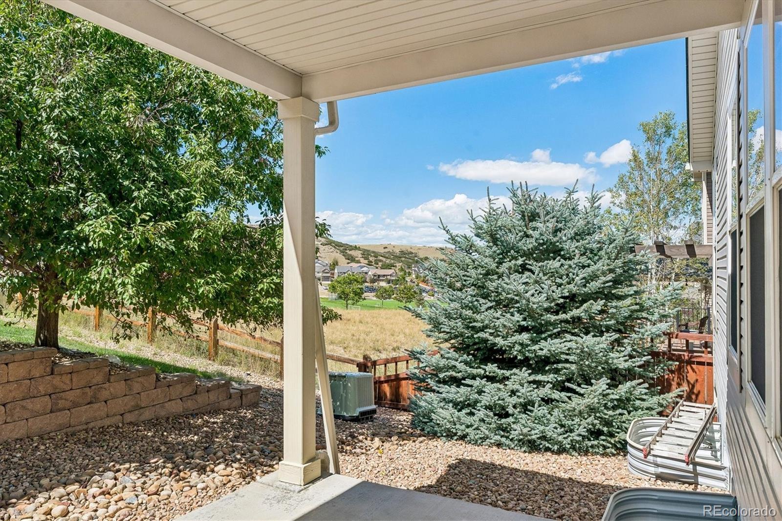 MLS Image #16 for 3903  starry night loop,castle rock, Colorado