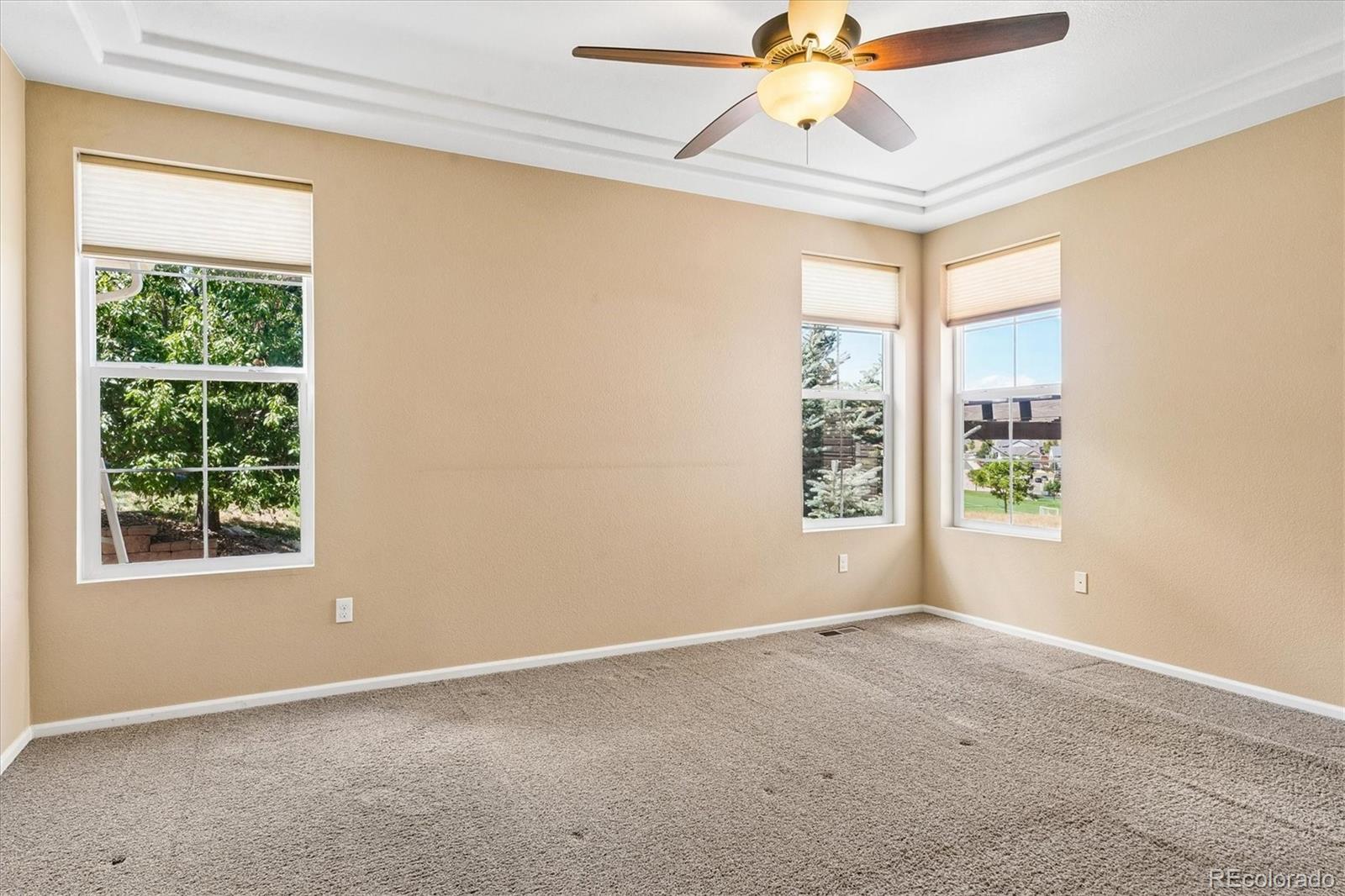 MLS Image #8 for 3903  starry night loop,castle rock, Colorado