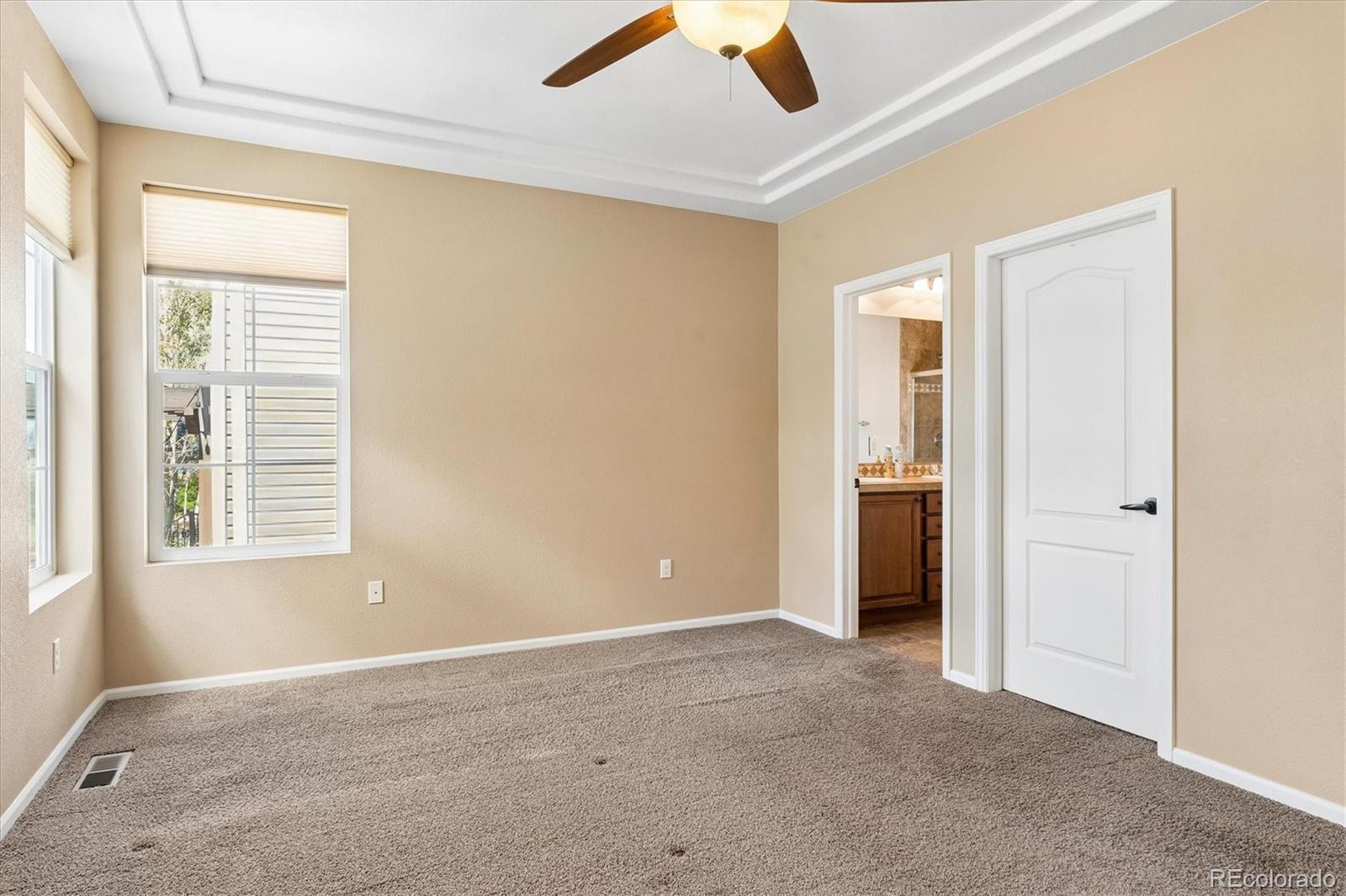 MLS Image #9 for 3903  starry night loop,castle rock, Colorado