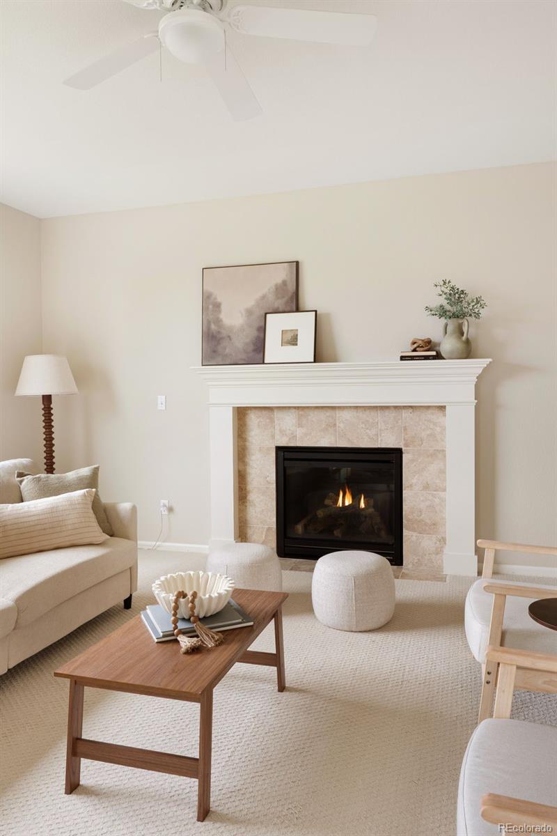 MLS Image #16 for 13965  hillsboro drive,parker, Colorado