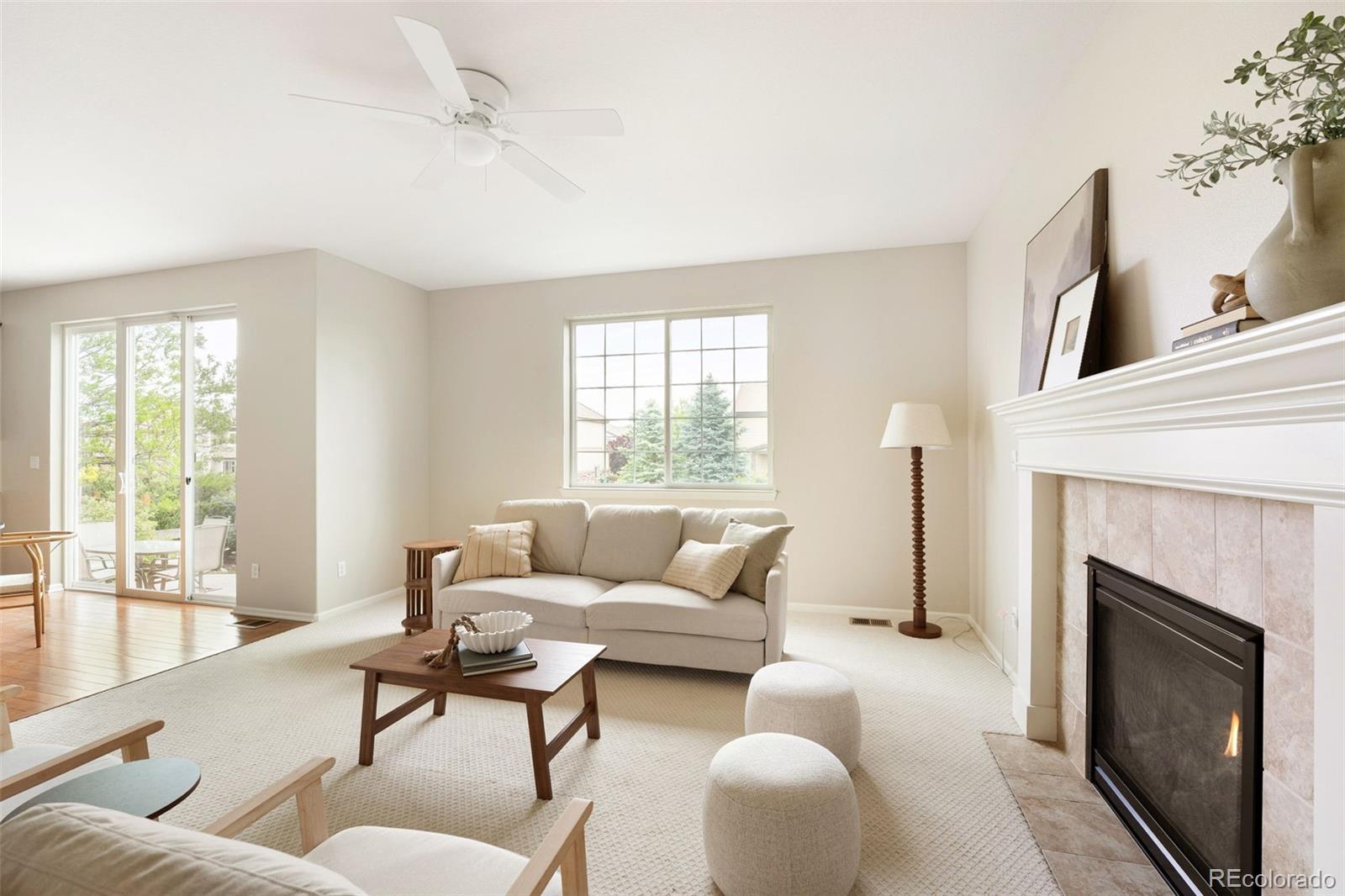 MLS Image #17 for 13965  hillsboro drive,parker, Colorado