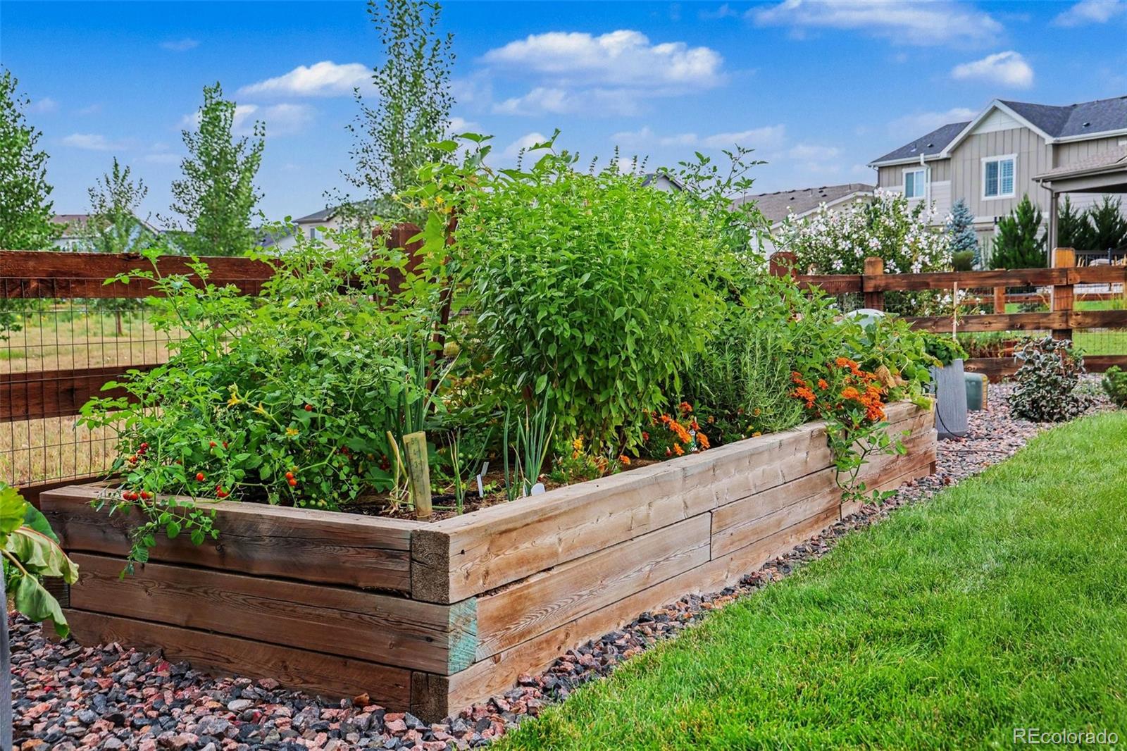 MLS Image #26 for 291  marlowe drive,erie, Colorado