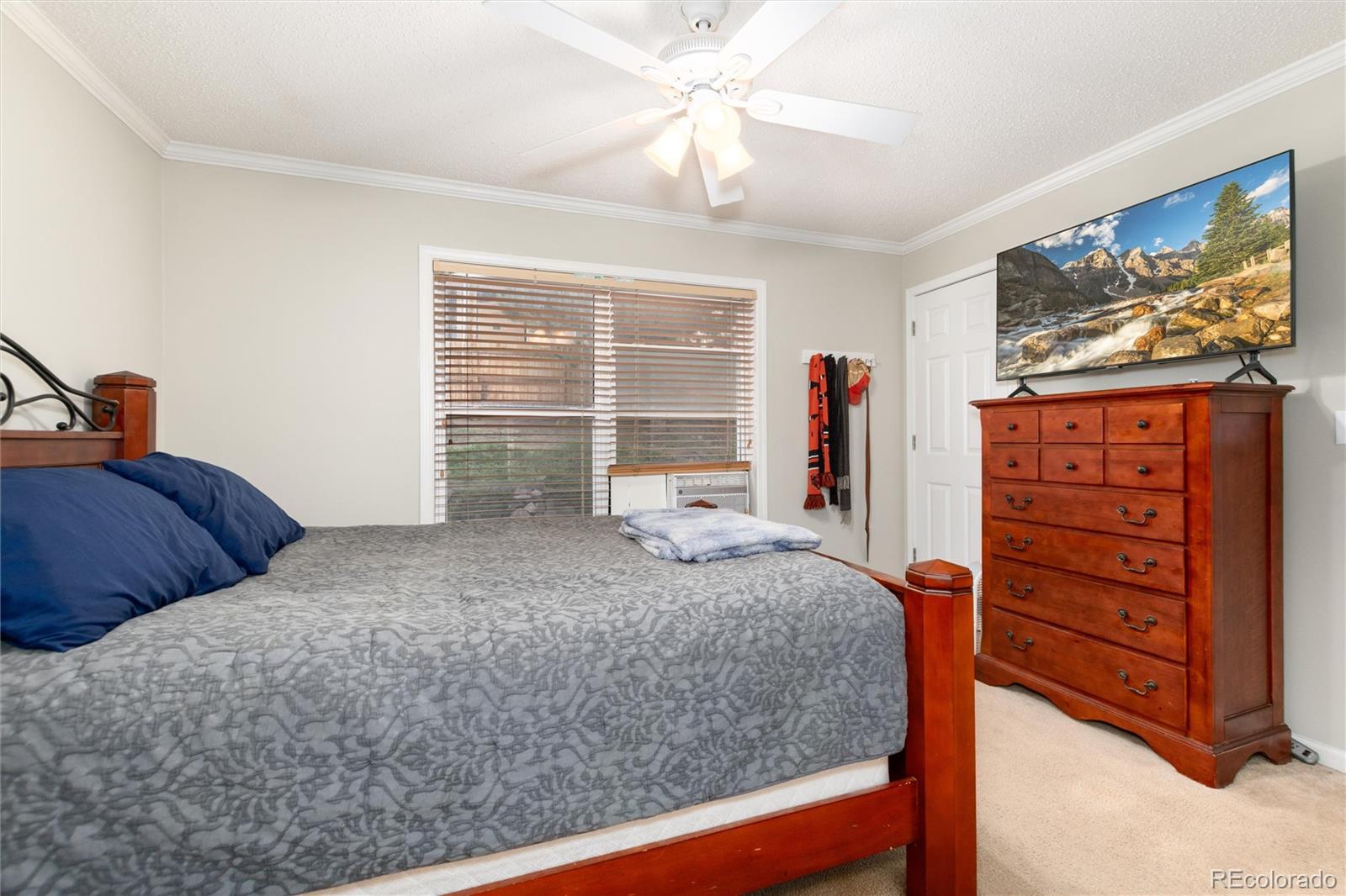 MLS Image #24 for 280  upper glenway ,palmer lake, Colorado