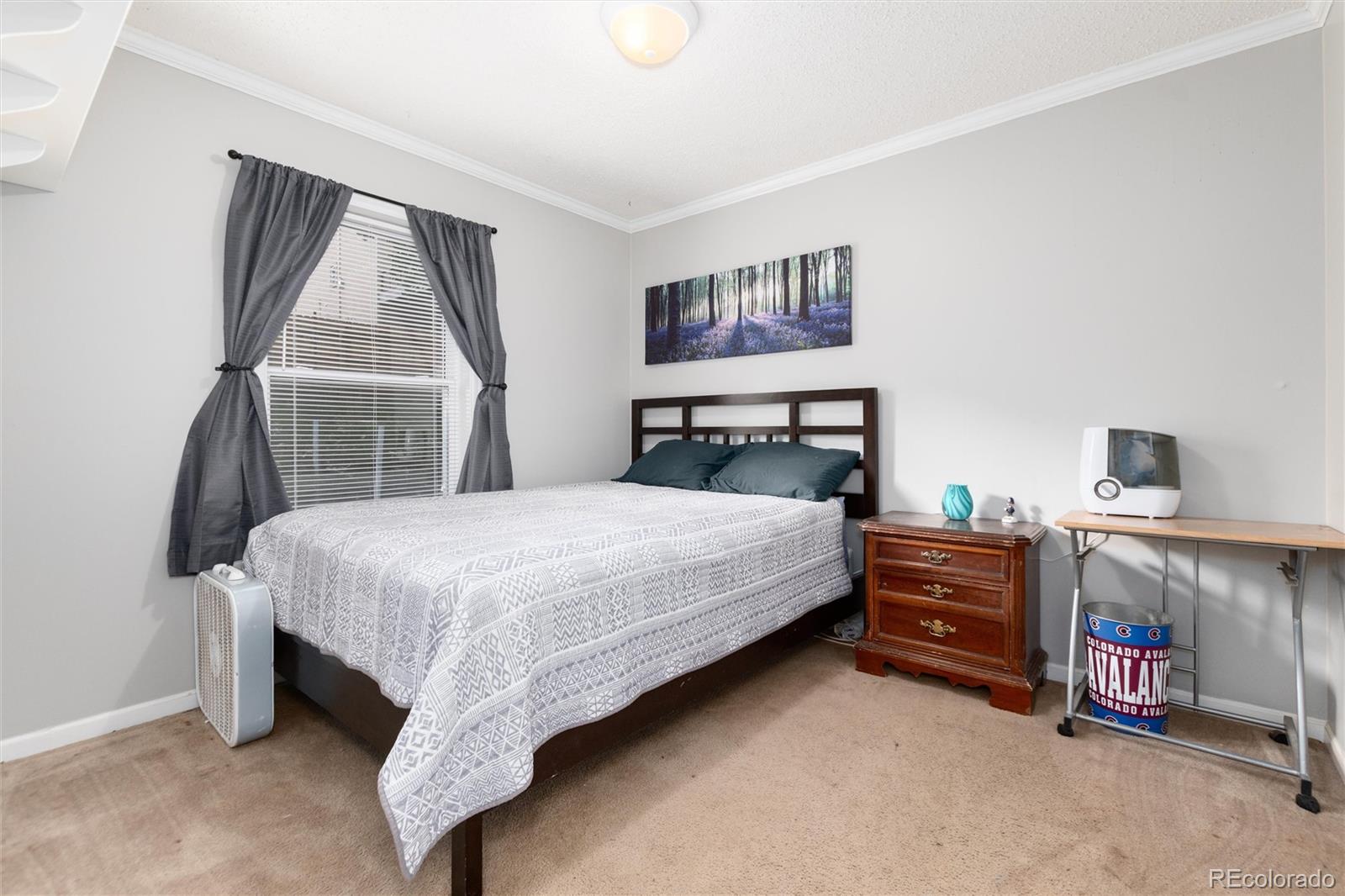 MLS Image #26 for 280  upper glenway ,palmer lake, Colorado