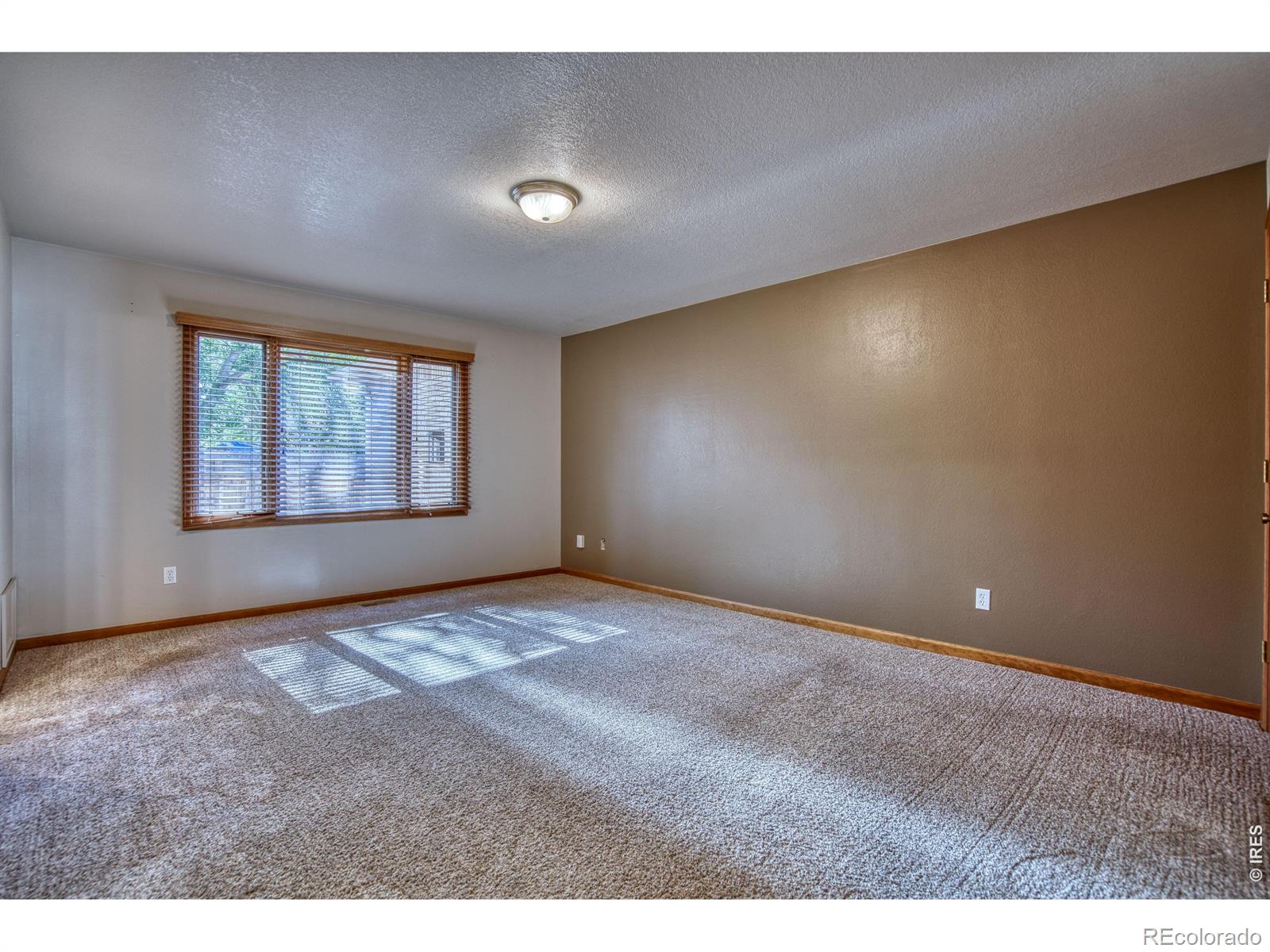 MLS Image #18 for 1115  chester court,johnstown, Colorado