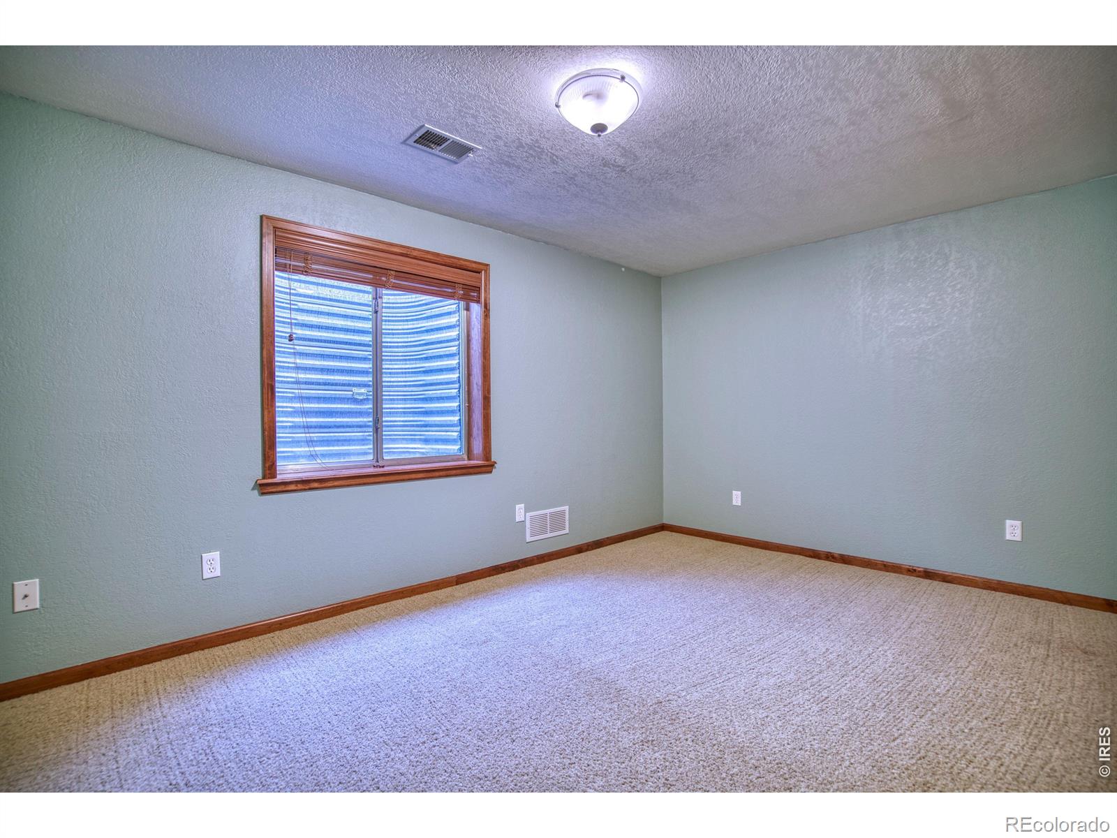 MLS Image #25 for 1115  chester court,johnstown, Colorado