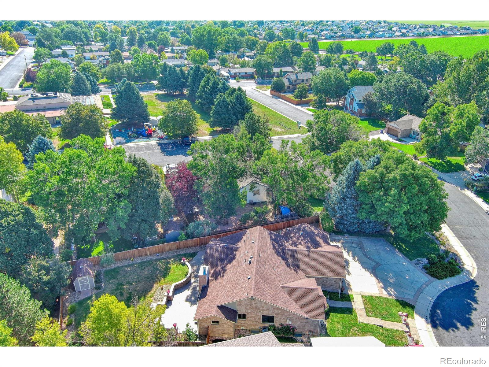 MLS Image #4 for 1115  chester court,johnstown, Colorado