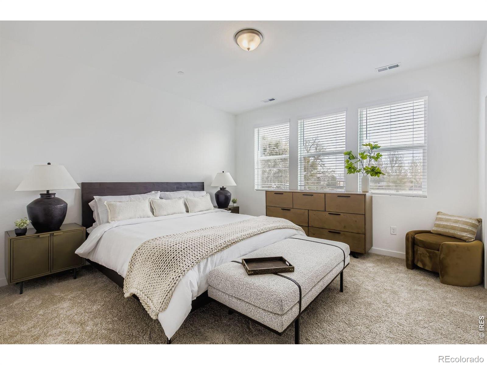 MLS Image #11 for 960  nettle lane,fort collins, Colorado