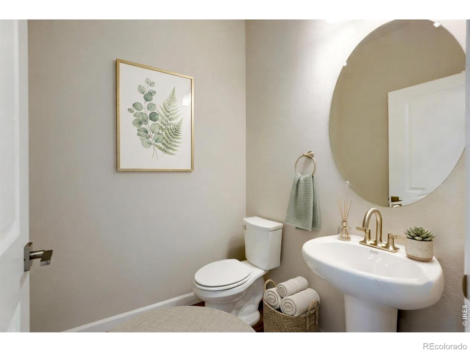 MLS Image #6 for 909  nettle lane,fort collins, Colorado