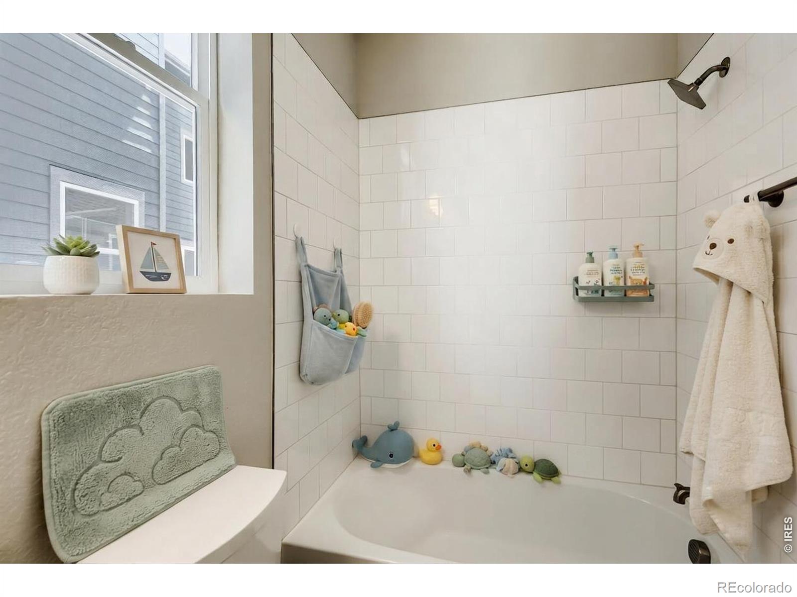 MLS Image #12 for 2430  heyworth lane,fort collins, Colorado