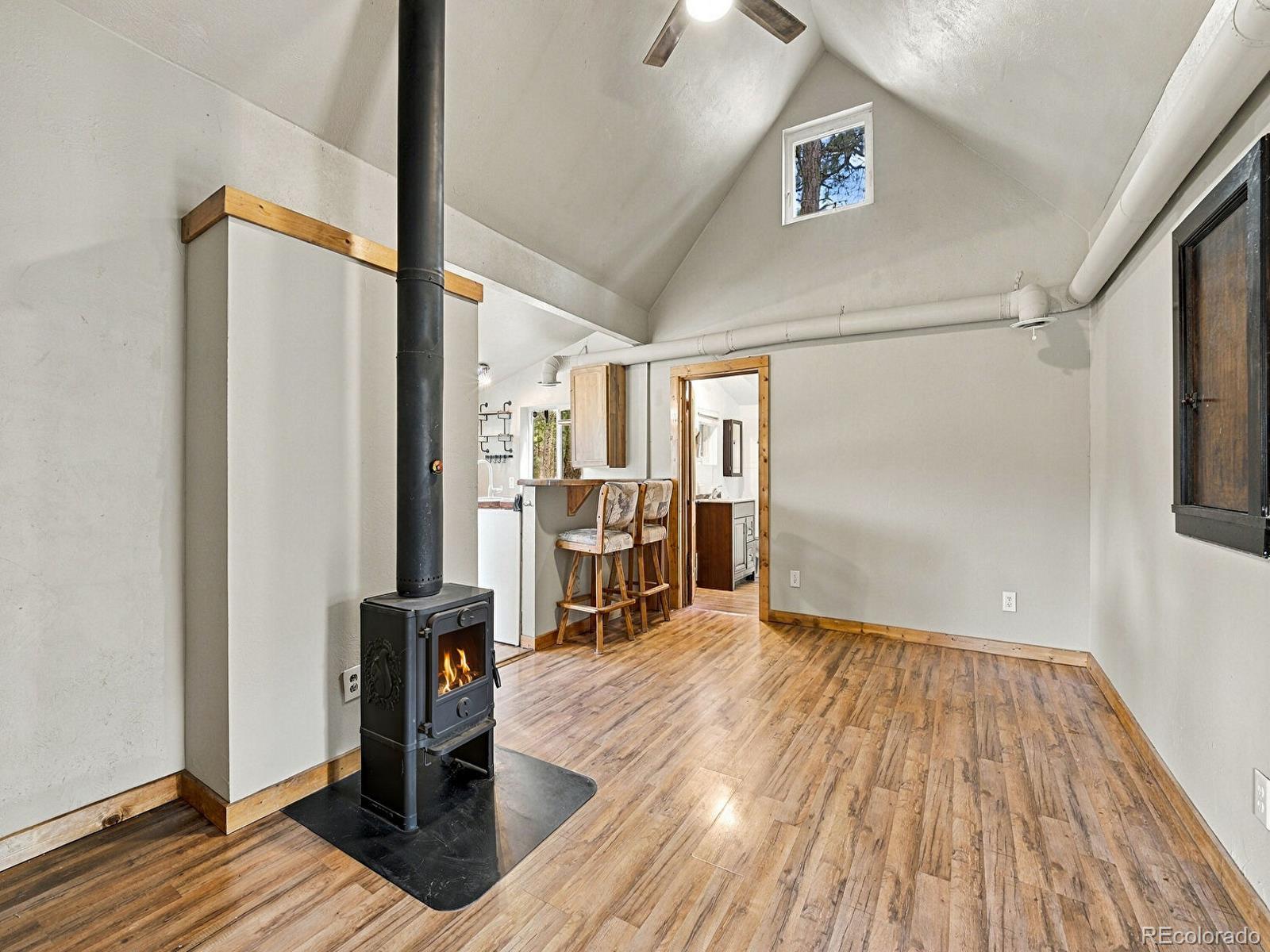 MLS Image #12 for 23803  logan avenue,pine, Colorado