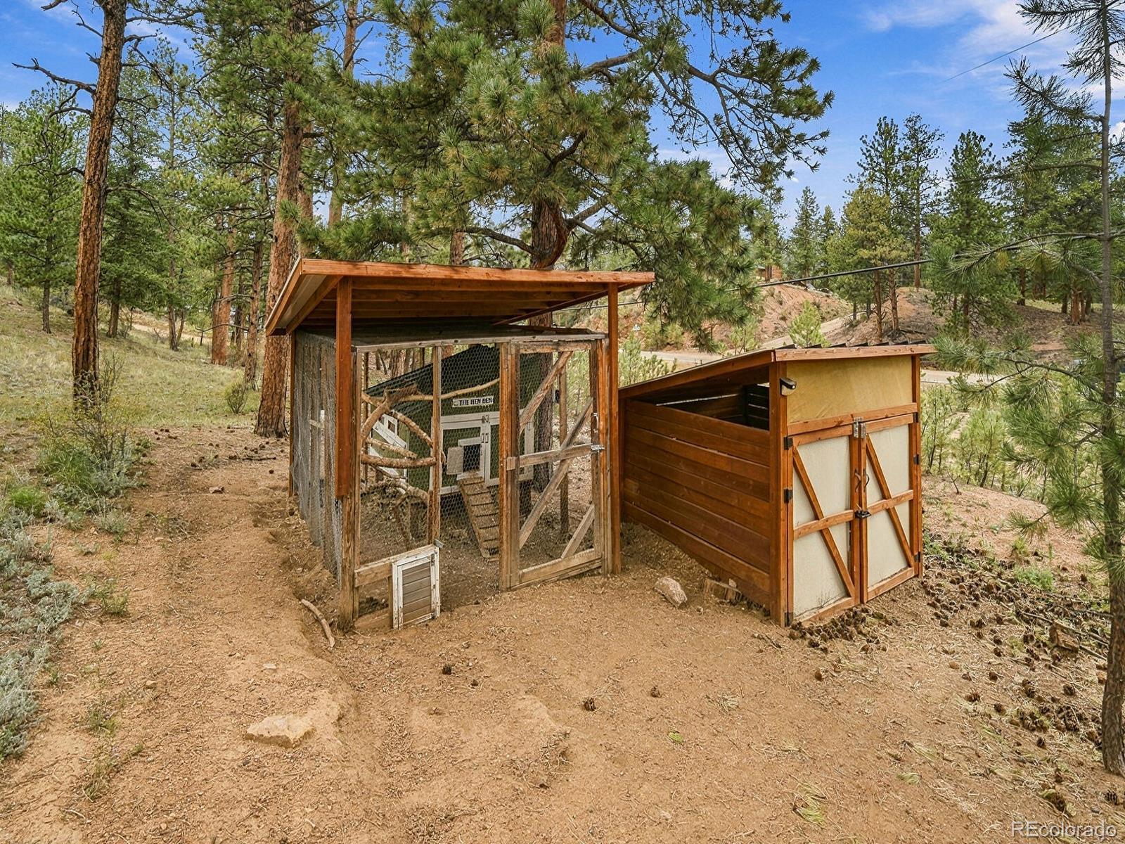 MLS Image #22 for 23803  logan avenue,pine, Colorado