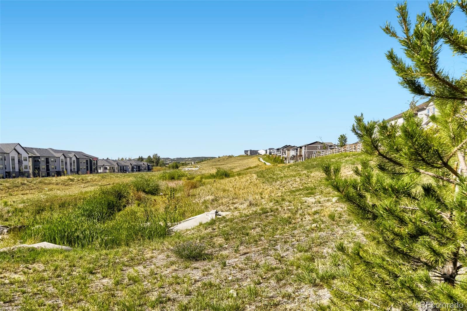 MLS Image #24 for 18317  prince hill circle,parker, Colorado