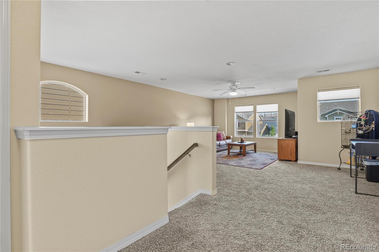 MLS Image #18 for 13116  canyons edge drive,colorado springs, Colorado