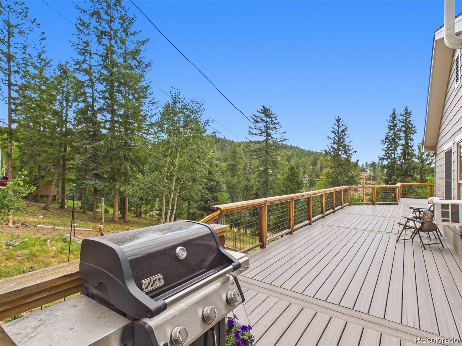 MLS Image #29 for 6773  snowshoe trail,evergreen, Colorado