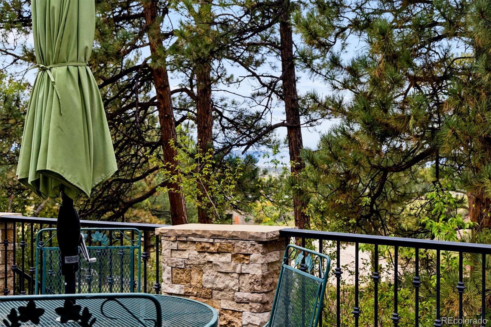 MLS Image #8 for 5013  vermillion court,castle rock, Colorado