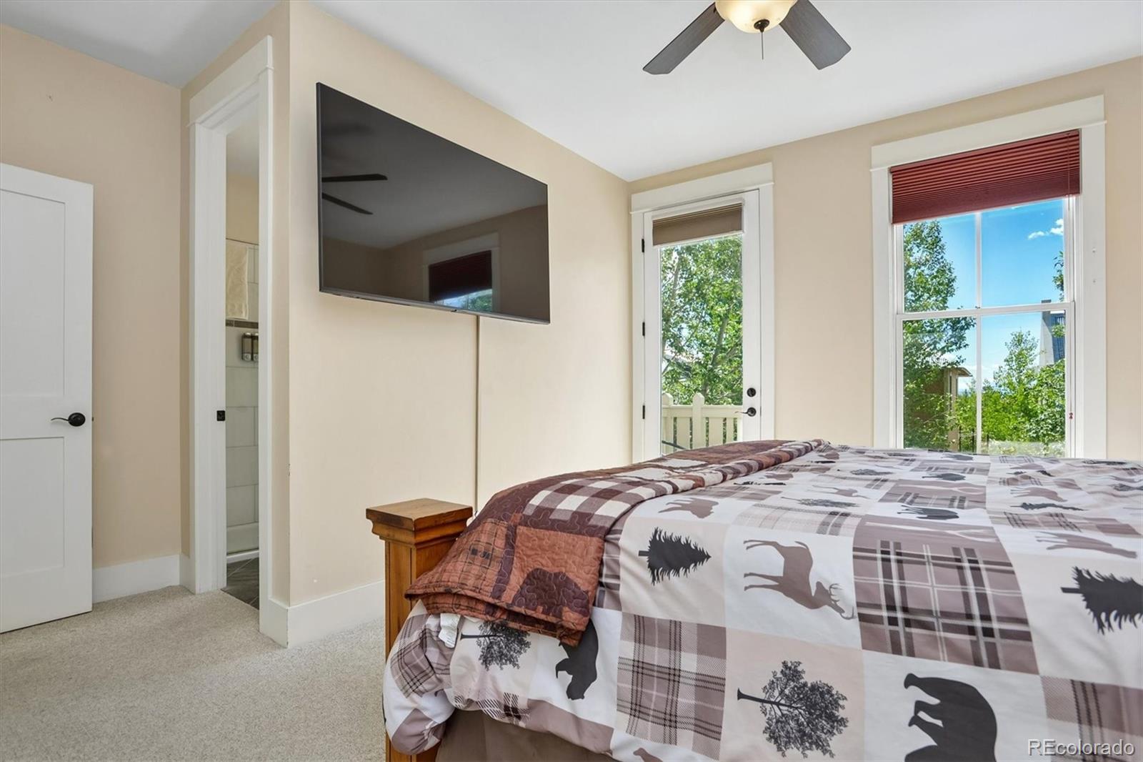 MLS Image #23 for 1012  river park road,buena vista, Colorado