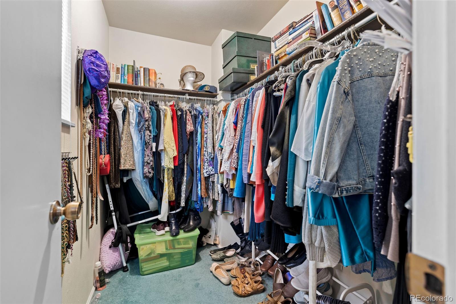 MLS Image #14 for 8352  dover court,arvada, Colorado