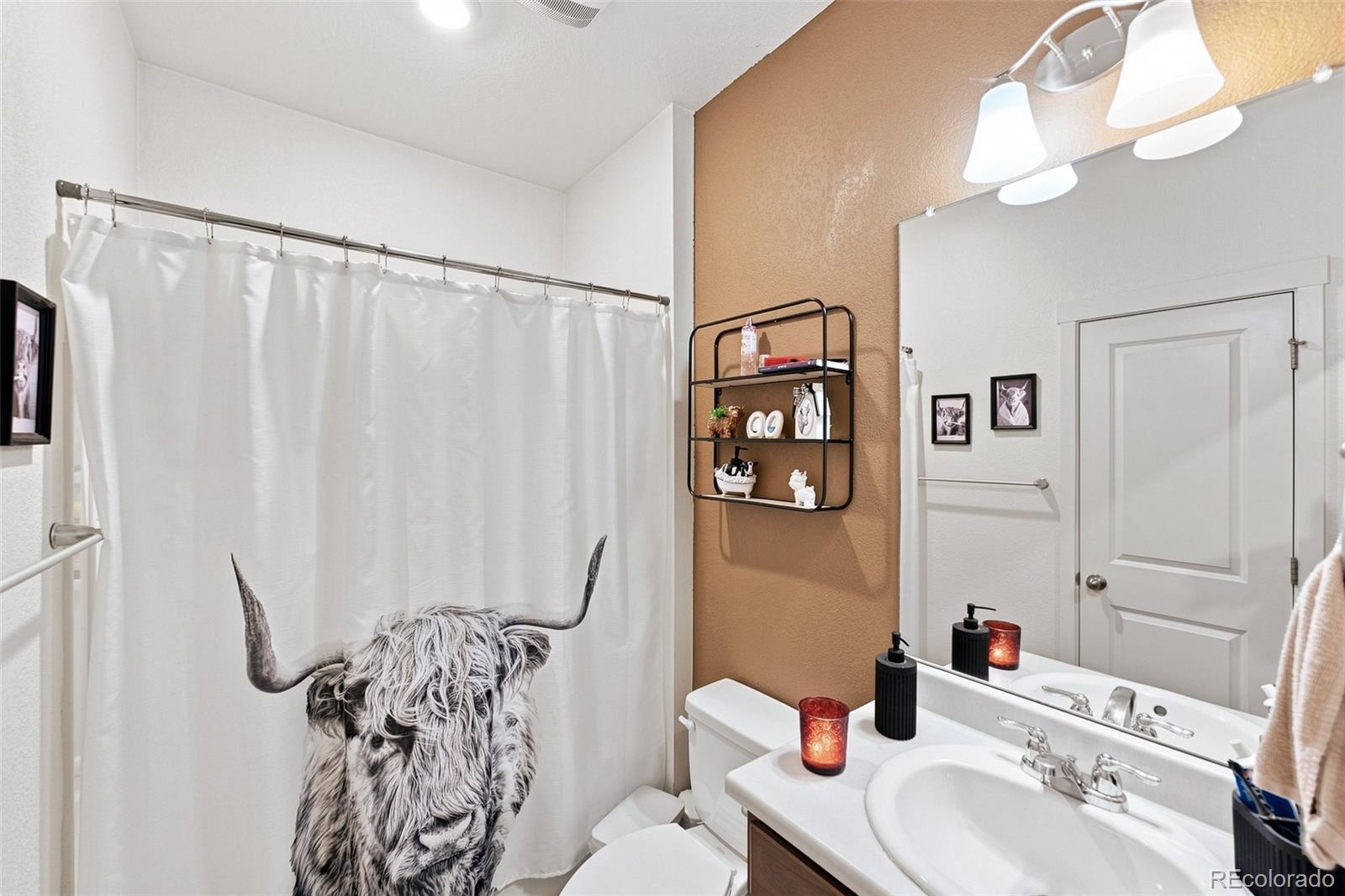 MLS Image #8 for 1008  ryland road,lochbuie, Colorado