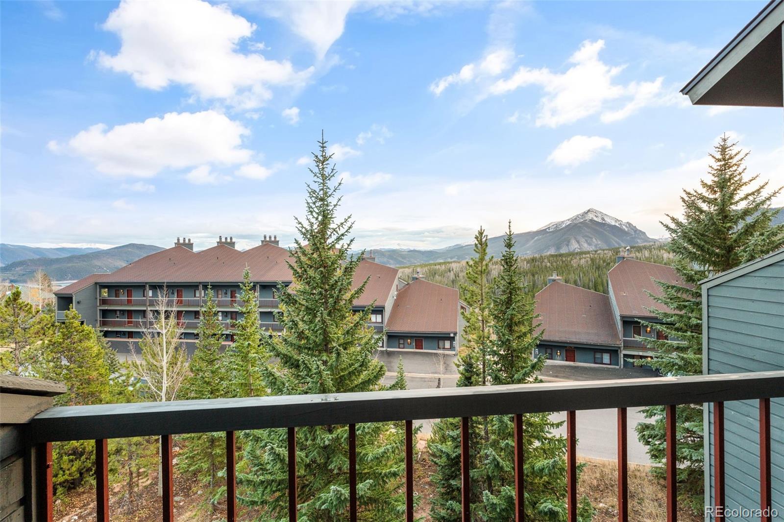 MLS Image #13 for 94300  ryan gulch road,silverthorne, Colorado