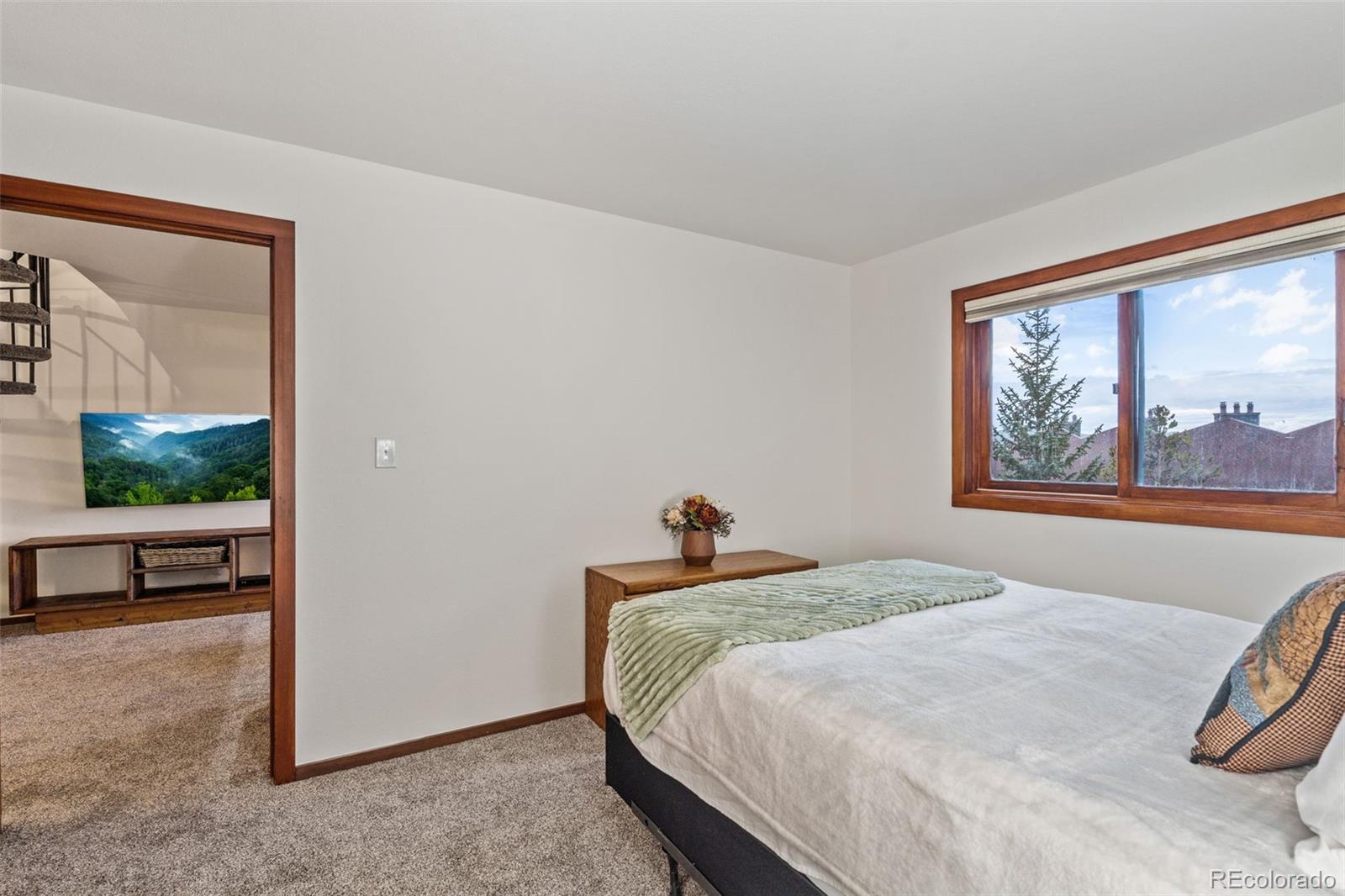 MLS Image #16 for 94300  ryan gulch road,silverthorne, Colorado
