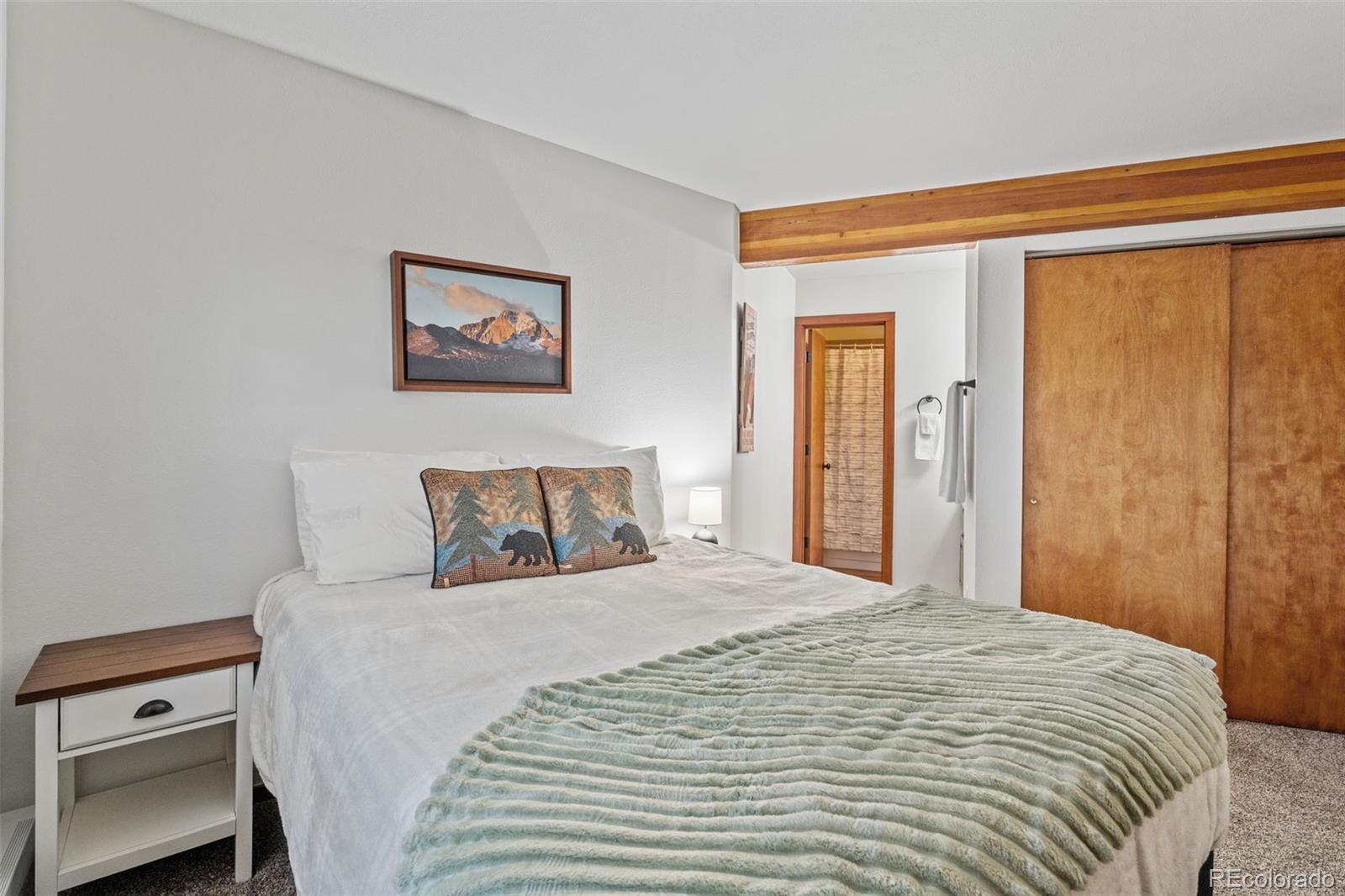 MLS Image #17 for 94300  ryan gulch road,silverthorne, Colorado