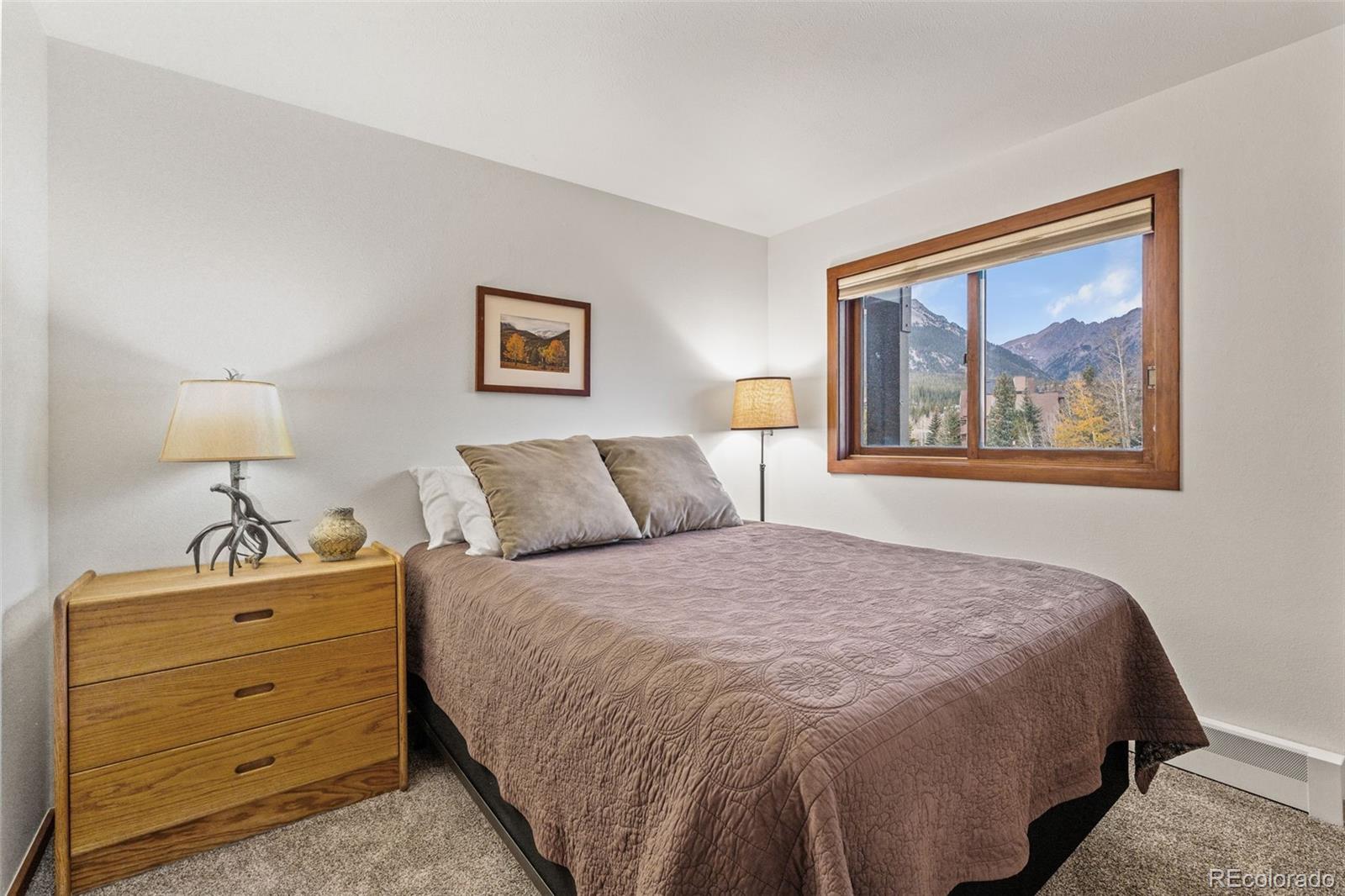 MLS Image #19 for 94300  ryan gulch road,silverthorne, Colorado