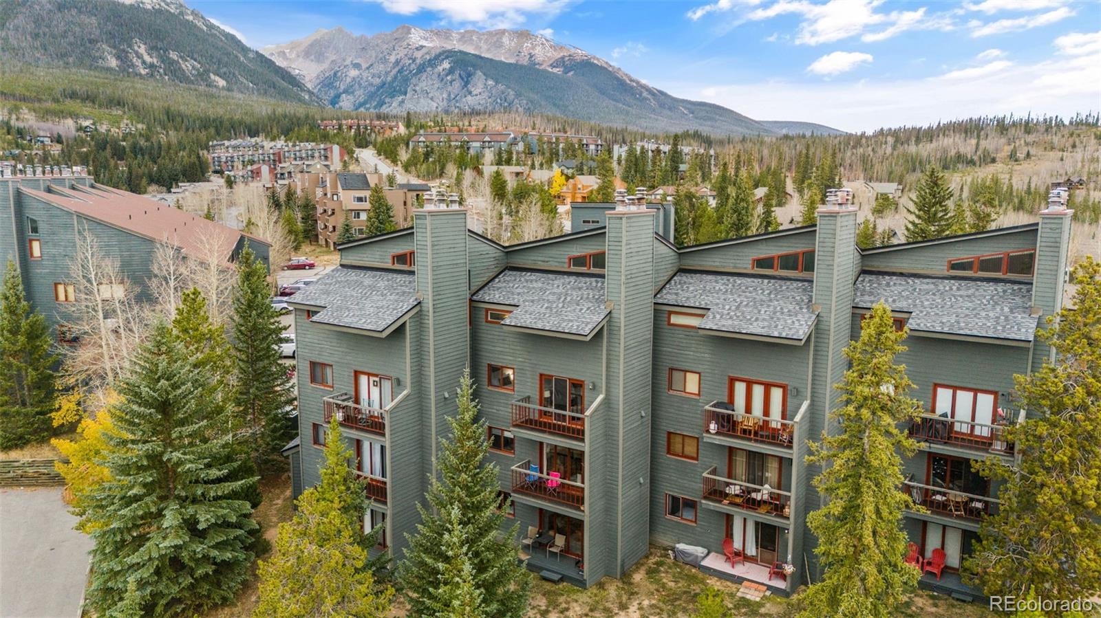 MLS Image #29 for 94300  ryan gulch road,silverthorne, Colorado