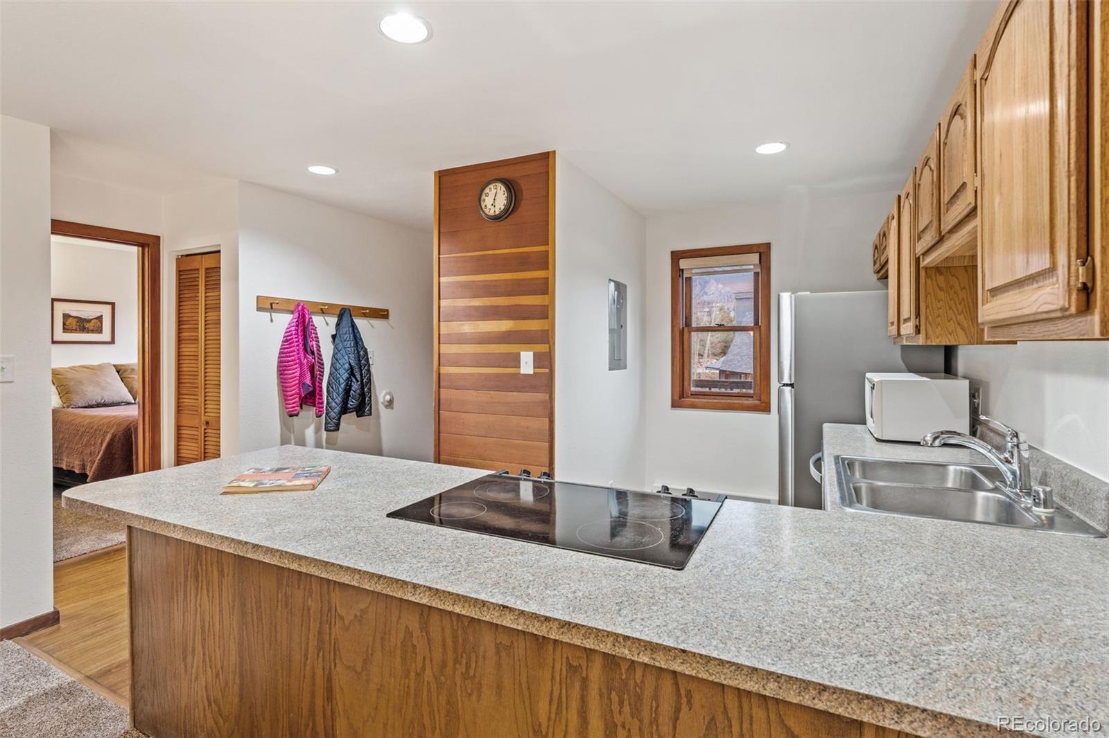 MLS Image #4 for 94300  ryan gulch road,silverthorne, Colorado
